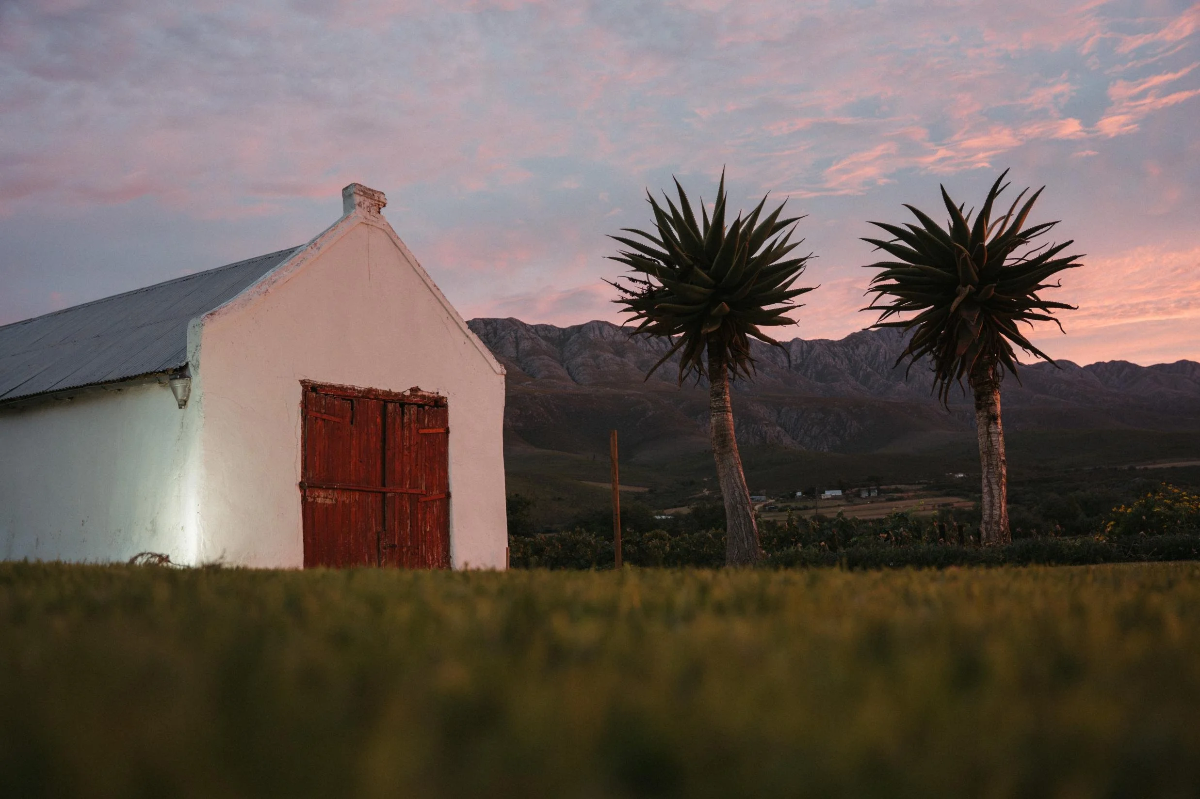 Swartberg-207.jpg