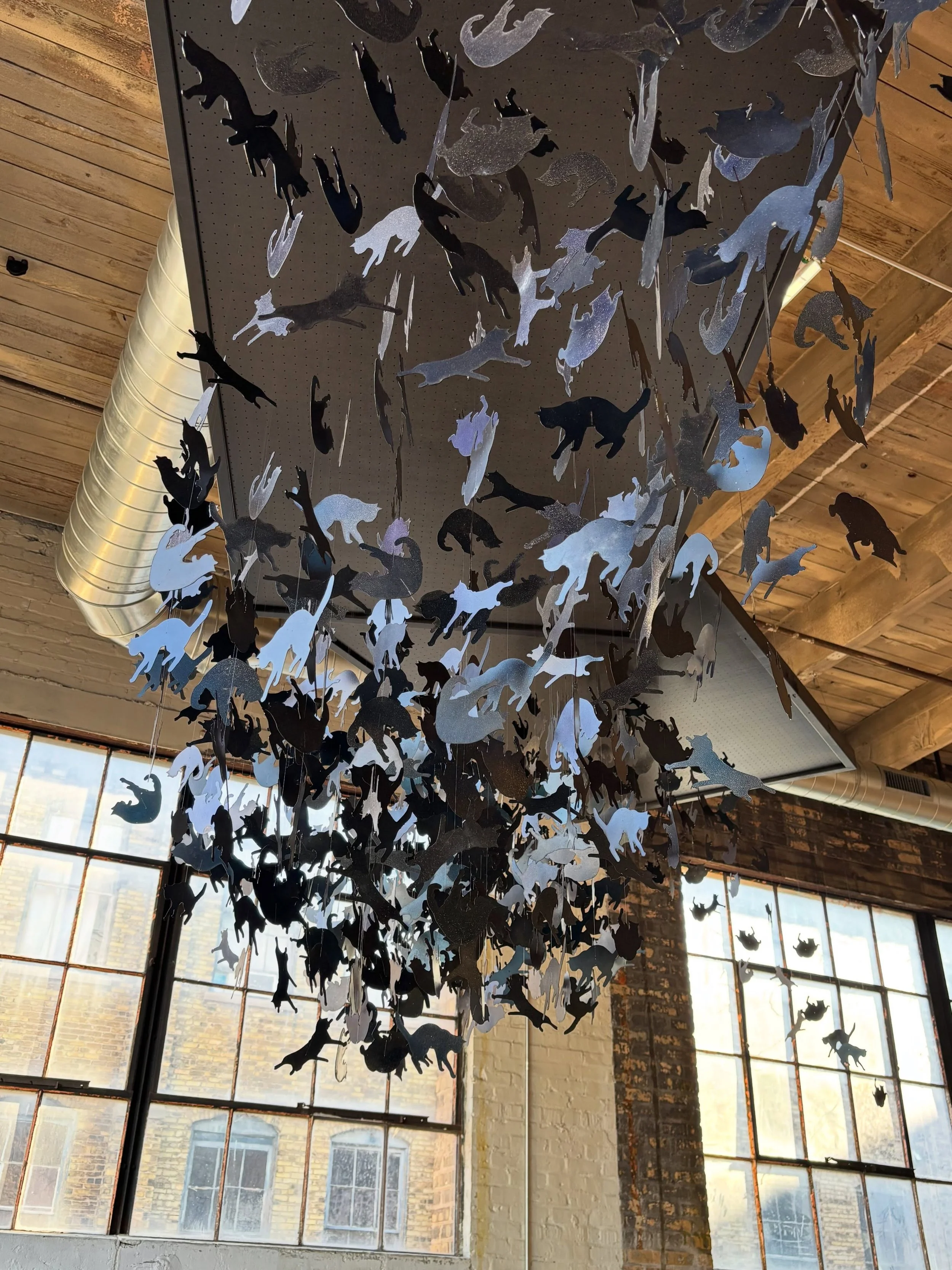 Tonight&rsquo;s the night! @veil_gr Metamorphosis show and the gateway to @artprize 2026. Come out to 1101 Godfrey and see us!

Murmuration FB Event:
https://fb.me/e/7cY9nWE2h?mibextid=wwXIfr

.
#artprize2026 #grandrapidsart #murmuration