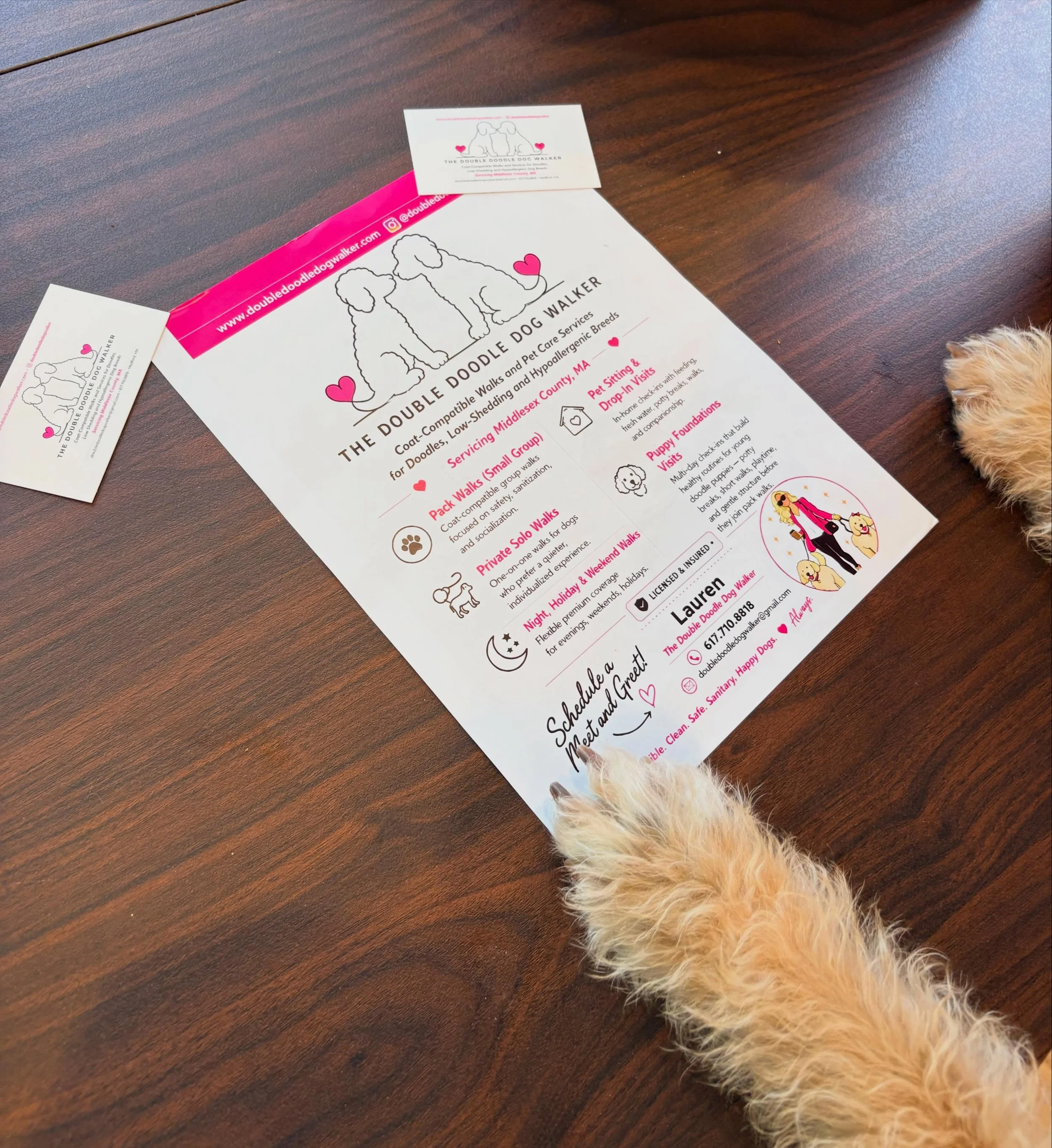 Our flyers and business cards have arrived! Time for the Double Dog Walker to get out and build a doggie community! #doodlesofboston #medfordmadogs #winchestermadogwalker #middlesexfellsdogs #bostondogwalking