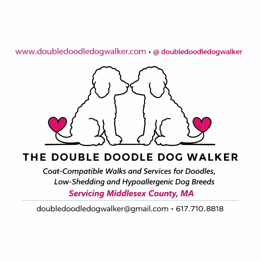 Doodaloo! ✨ Our Website is LIVE! ✨
The Double Doodle Dog Walker website is officially online &mdash; check us out!

If you or your friends (you know you know one!) have doodles, low‑shedding, or hypoallergenic pups in Medford, Winchester, Stoneham, M