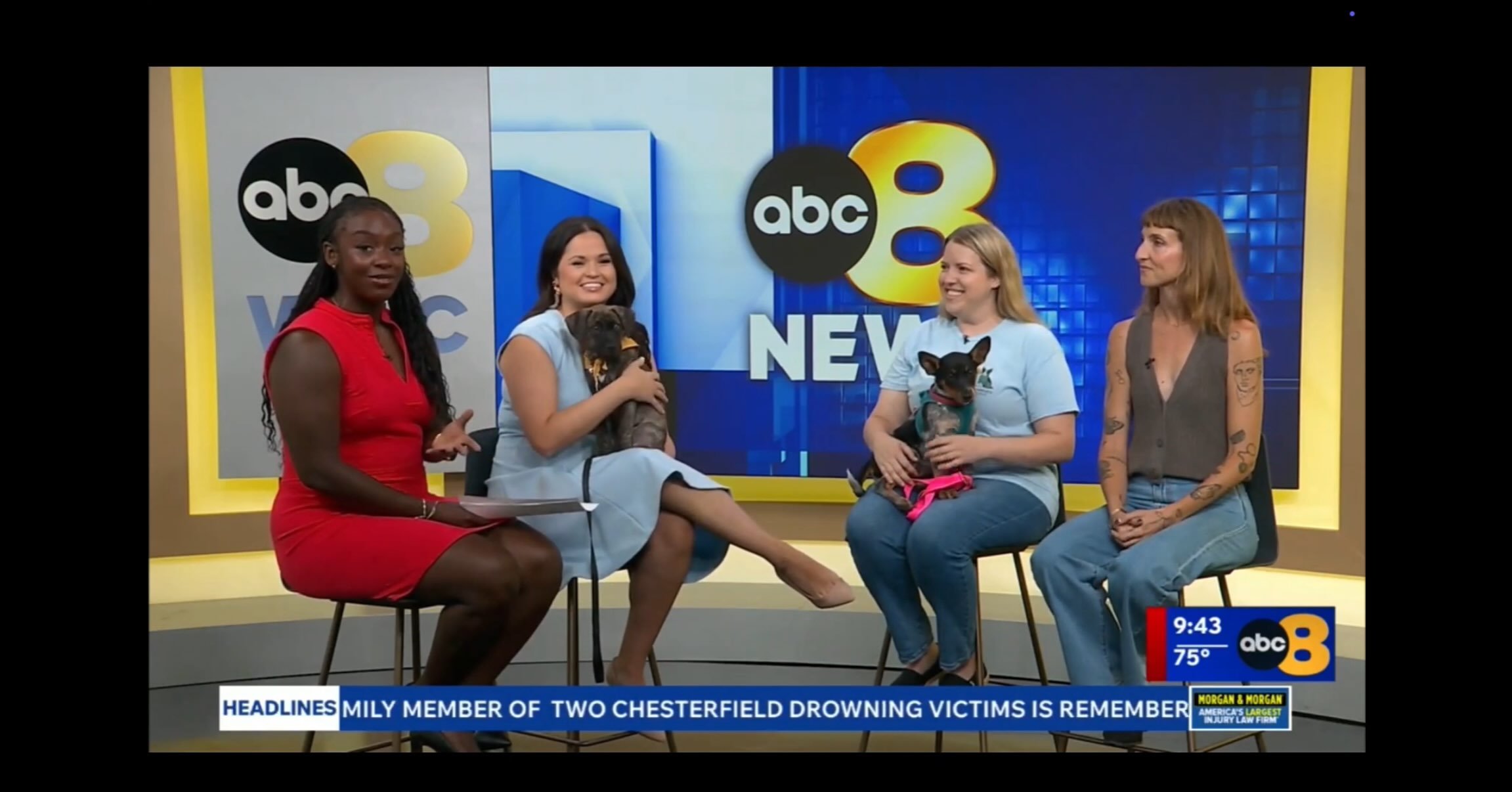 Hello All! Excited to share our interview with very kind, very awesome news ladies @8news ! We talked about Puppy Therapy, its benefits for people and pups, and our upcoming sessions Sat., Aug 15! (Link in bio.) Check it out! @beaglesandbentleys (Sho
