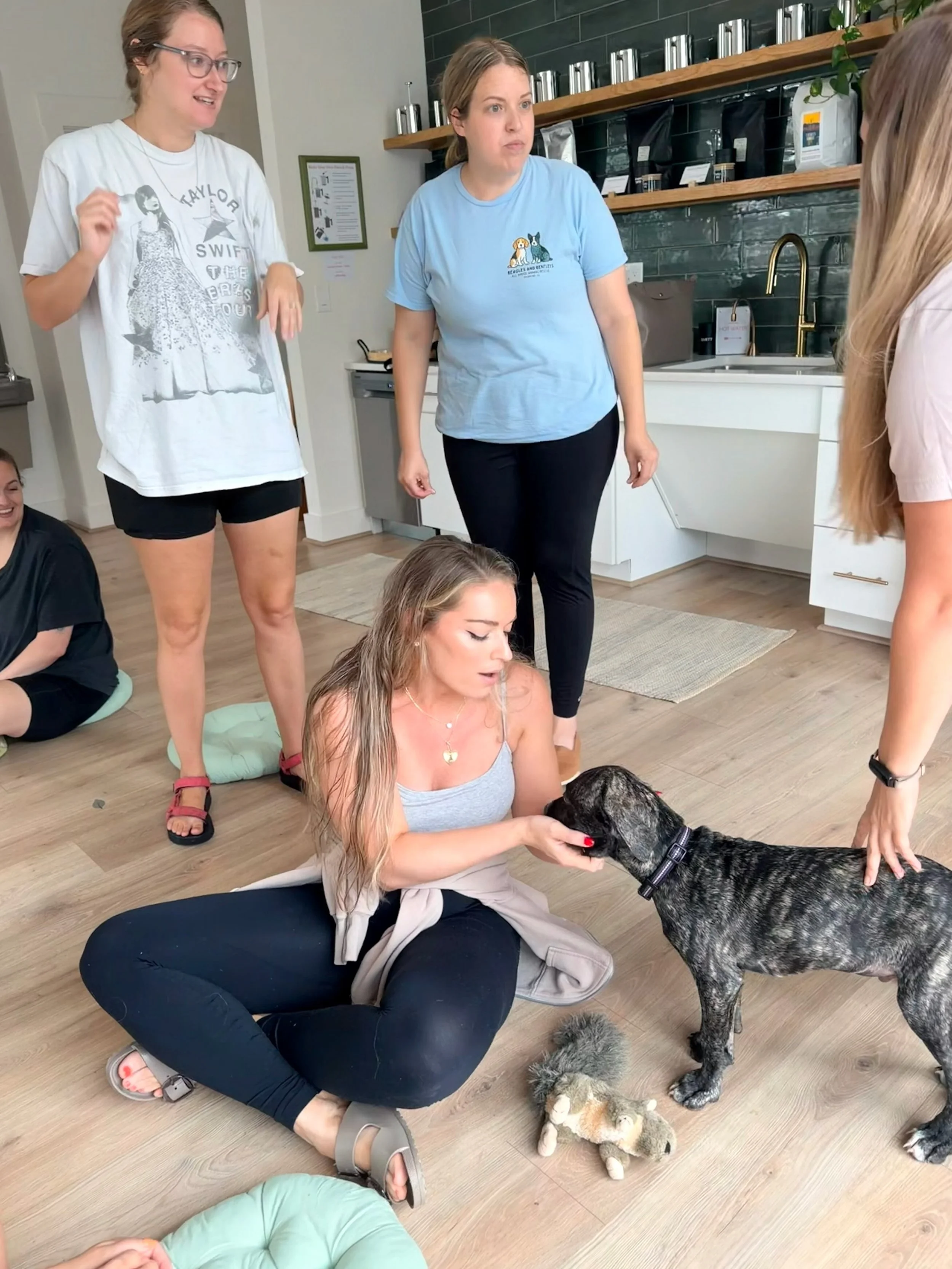 Puppy Therapy today was a true delight! We had a frisky bunch with lots of husky mixes (those blue eyes!), brindle hounds, and more! Thanks to everyone who came out, and stay tuned for the next puppy event 🐶💕 #puppytherapy #adoptablepuppies @beagle