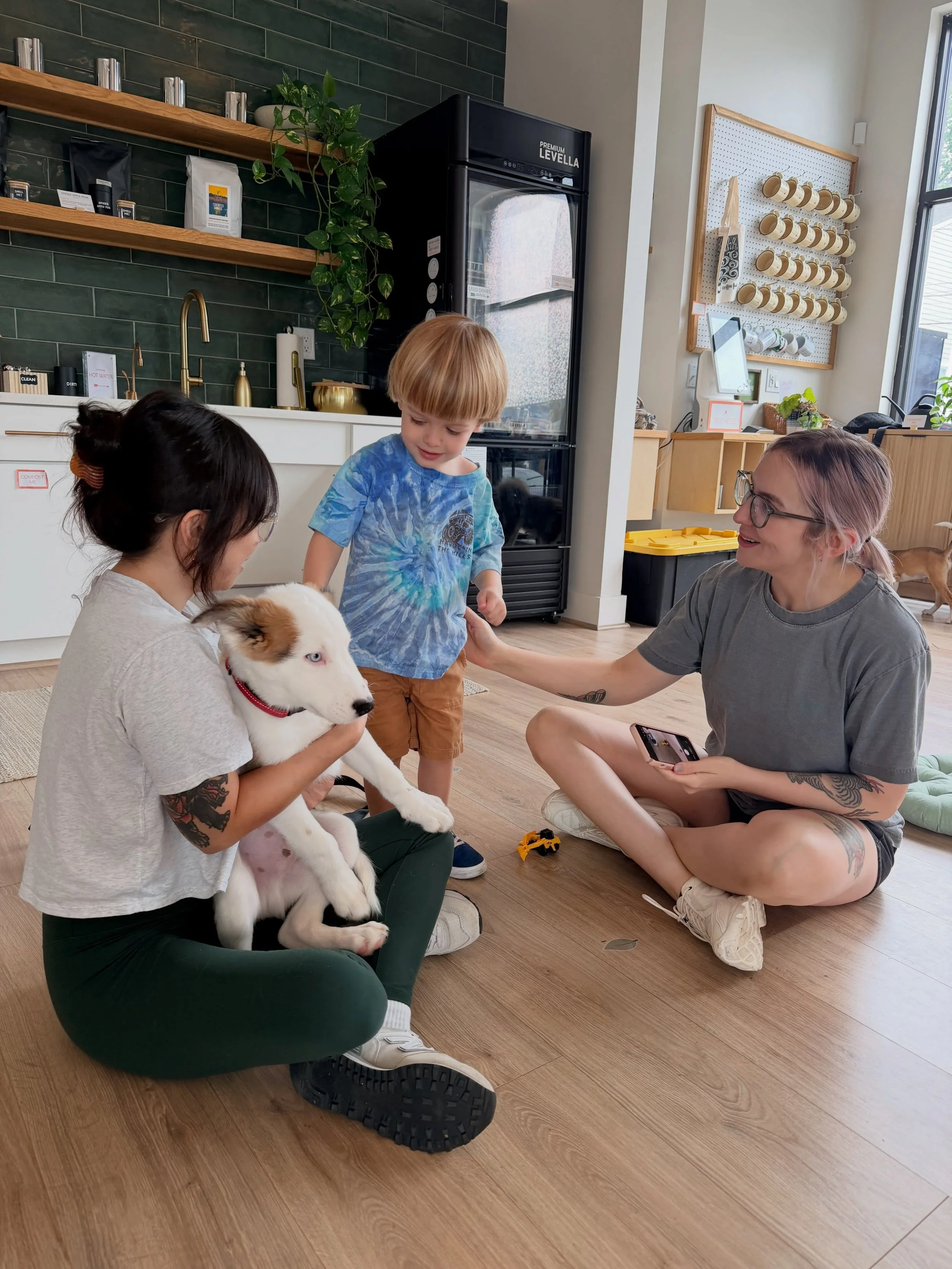 Puppy Therapy today was a true delight! We had a frisky bunch with lots of husky mixes (those blue eyes!), brindle hounds, and more! Thanks to everyone who came out, and stay tuned for the next puppy event 🐶💕 #puppytherapy #adoptablepuppies @beagle