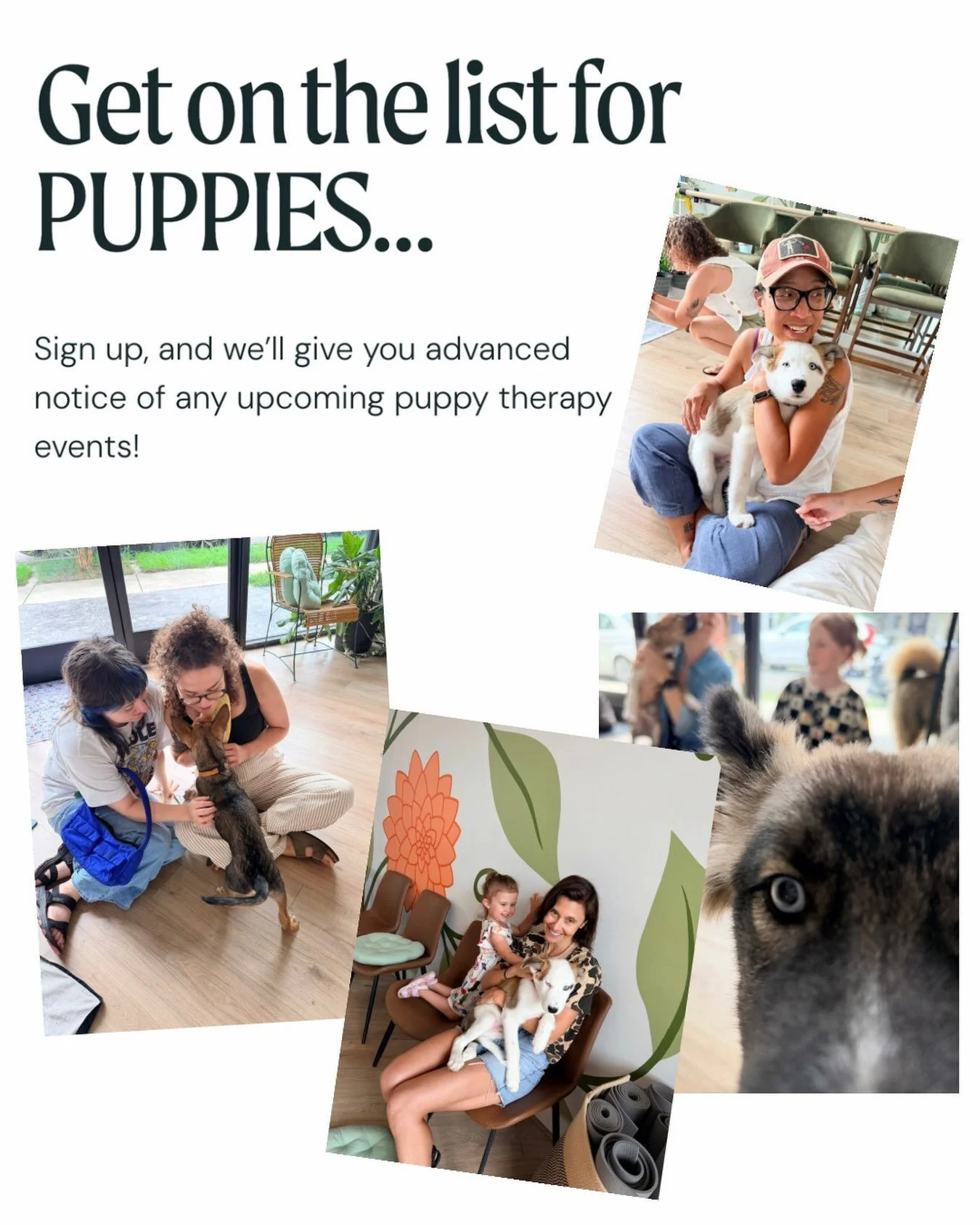 Get on the list for our next event: puppy therapy, happy hour with puppies, and more! Link in bio. #puppyevents #rvalovespuppies #churchhill