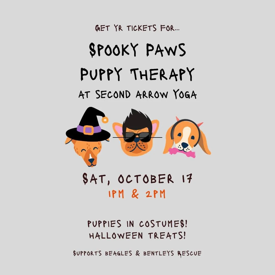 All puppies are adoptable and will be wearing ADORABLE Halloween costumes. Get yr spooky cuddle on! Link in bio 4 TIX