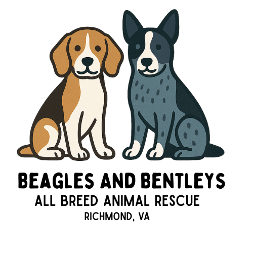 Two cartoon dogs, one with brown and white fur and floppy ears, the other with black and gray fur and pointed ears, sitting side by side.