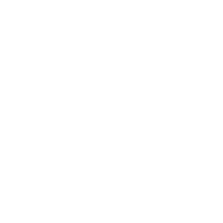 Beerinstitutelogo-clear.png