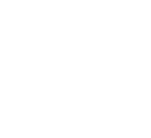 Bpi-logo.png