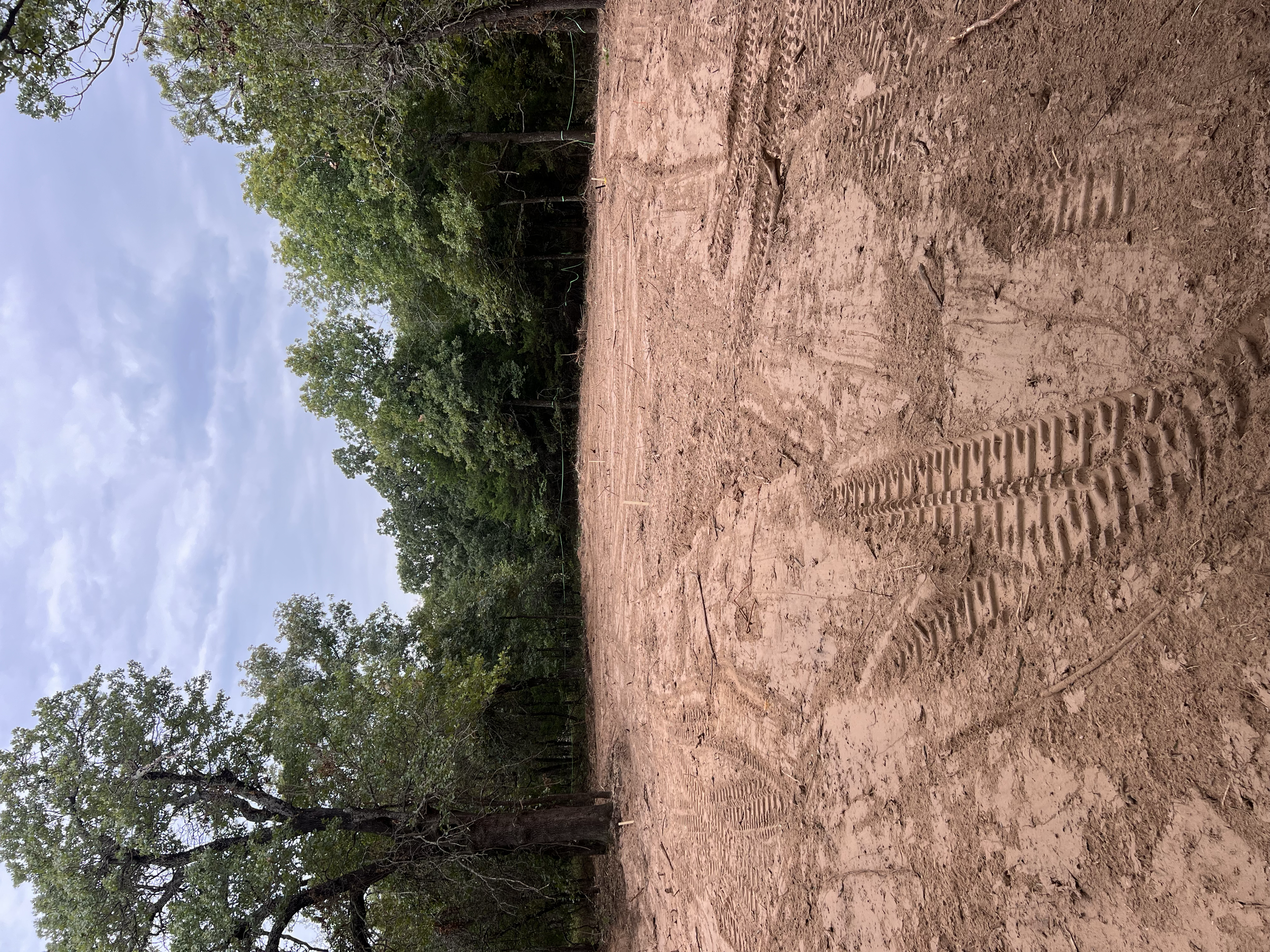 Dirt ground with tire tracks, with trees and leafy foliage in the background and a cloudy sky above.