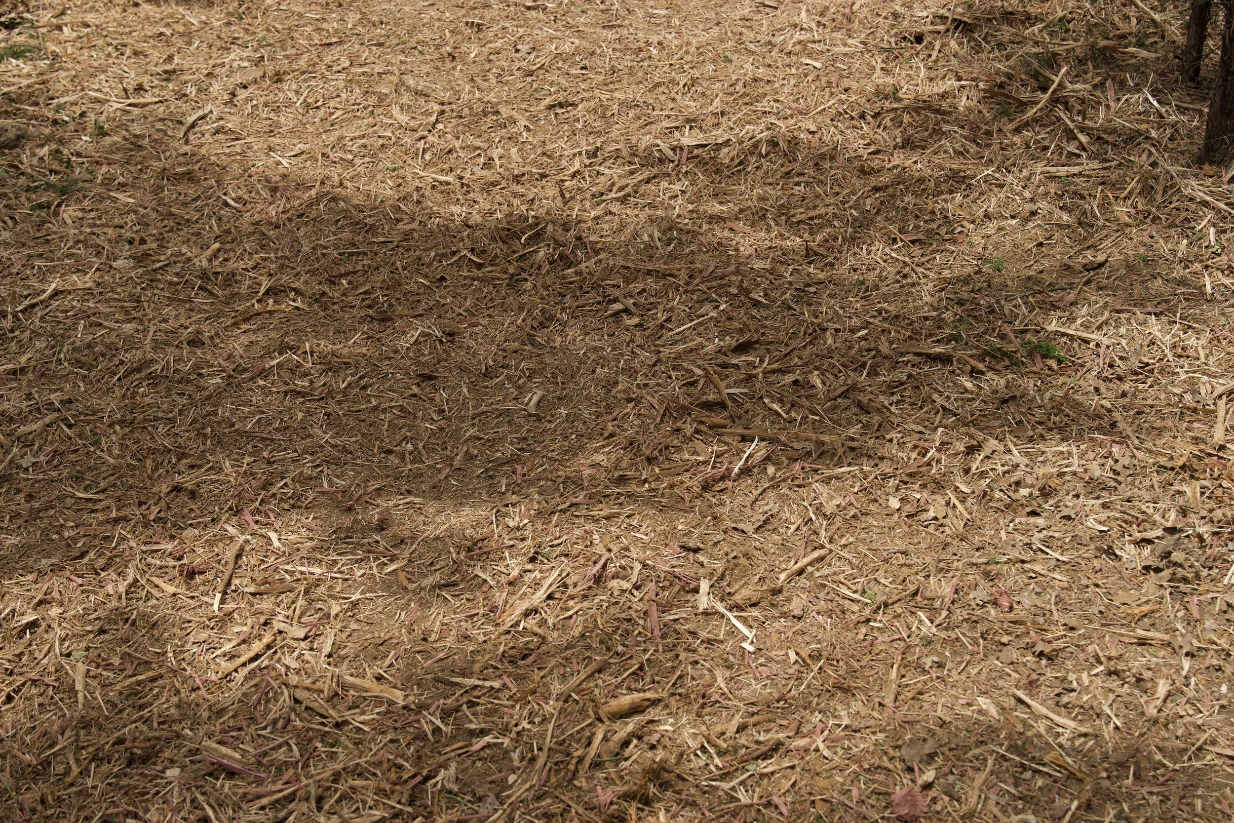 A patch of ground covered with dried brown wood chips and mulch.