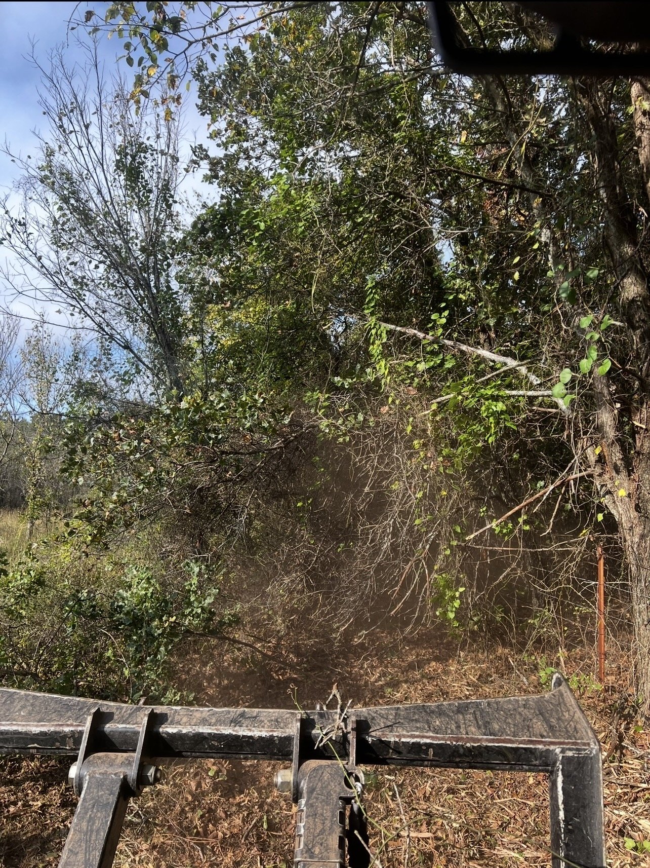 The image shows the view from a vehicle's front bumper looking out at a wooded area with trees and bushes, some with green leaves and some with no leaves, indicating a change of seasons. The sky is partly cloudy.