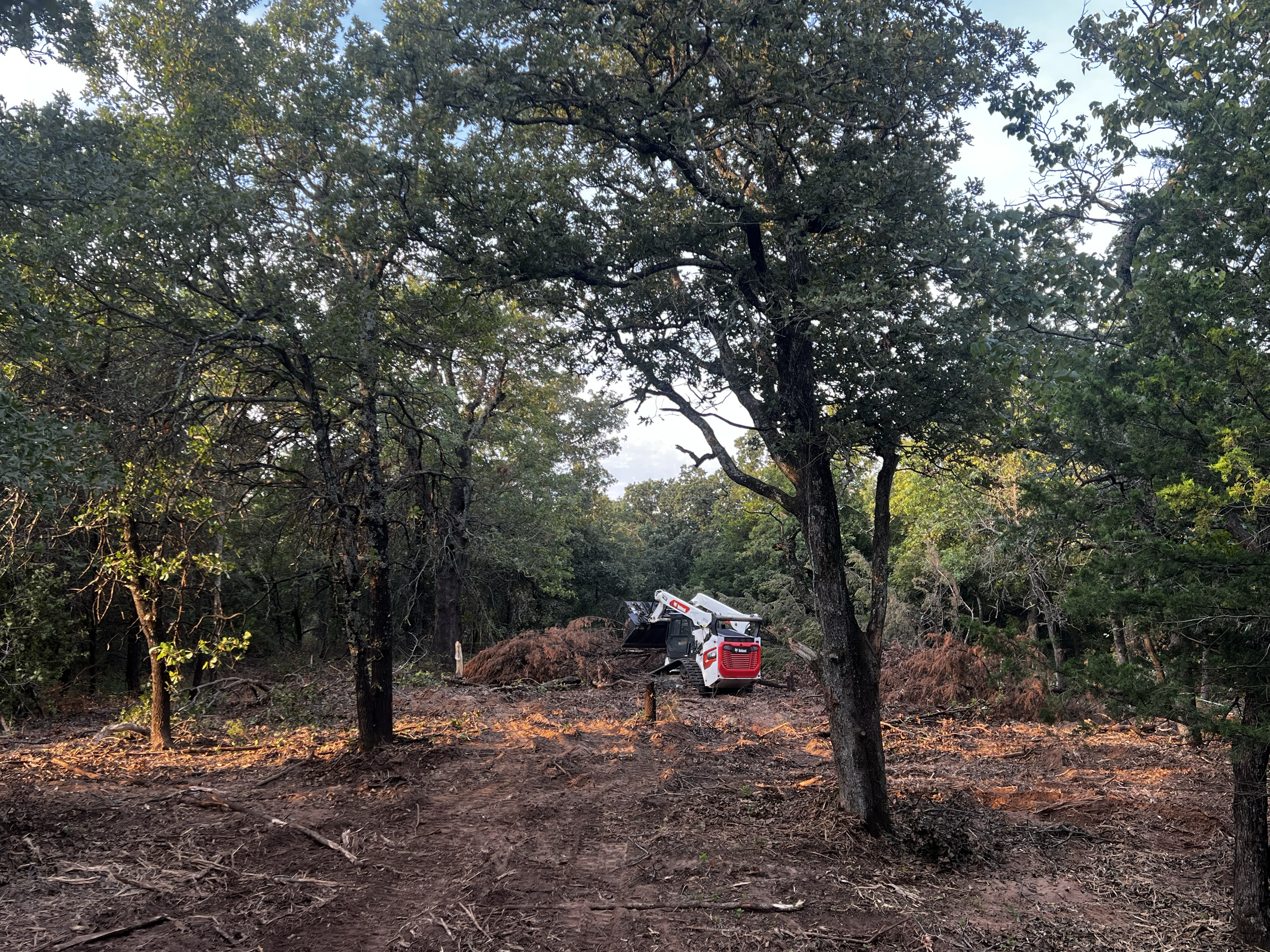 Tree being cut down in a wooded area with heavy machinery at work.