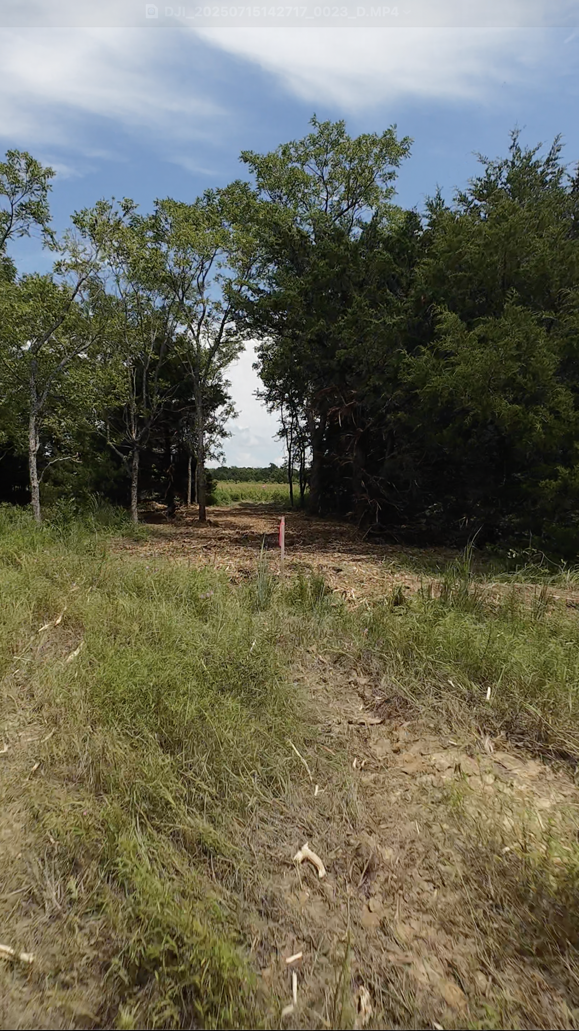 A dirt pathway through a wooded area with trees and grass on either side, leading to an open field under a partly cloudy sky. A pink marker is visible along the path.
