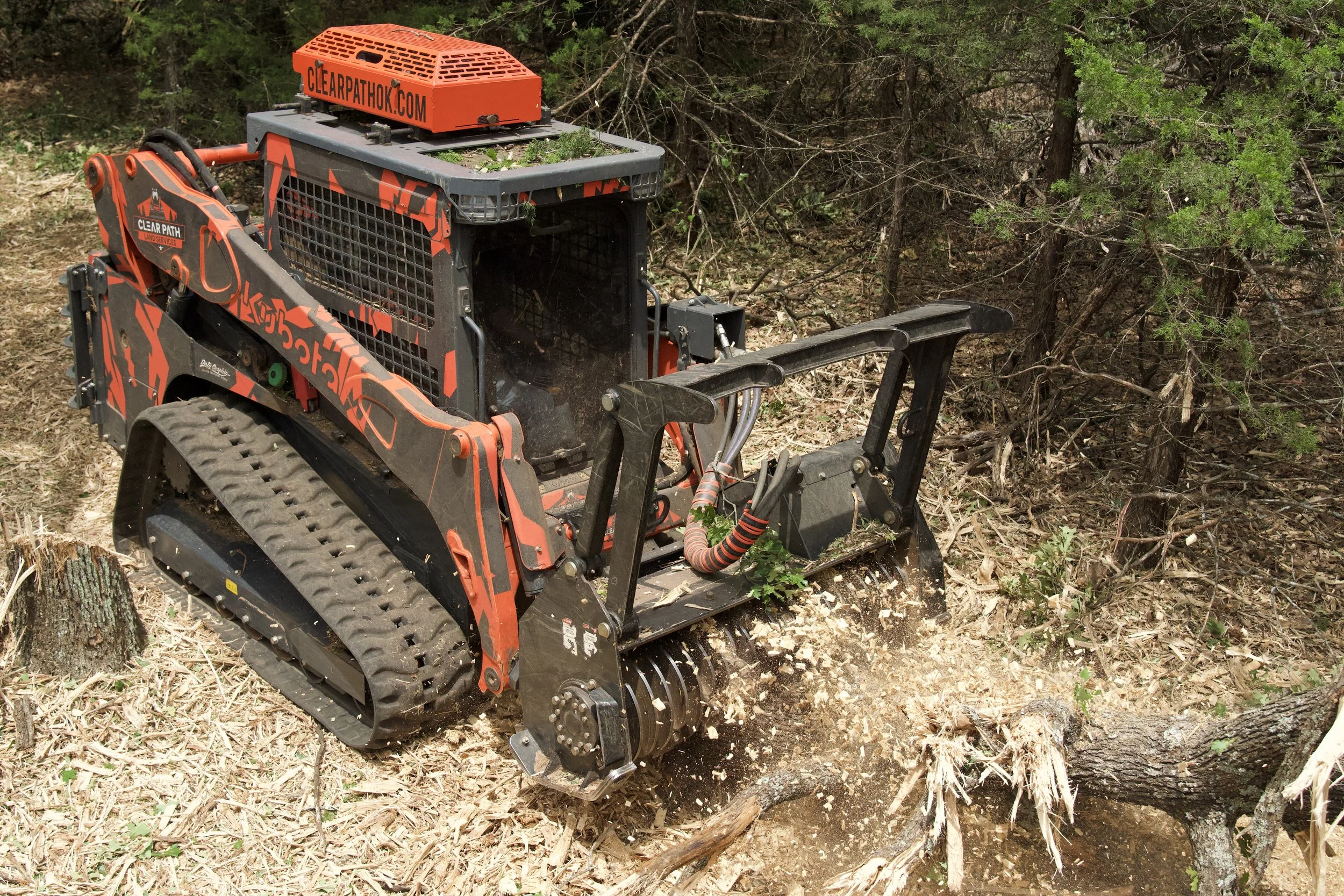 A tracked forestry mulcher machine clearing trees and brush in a forested area.
