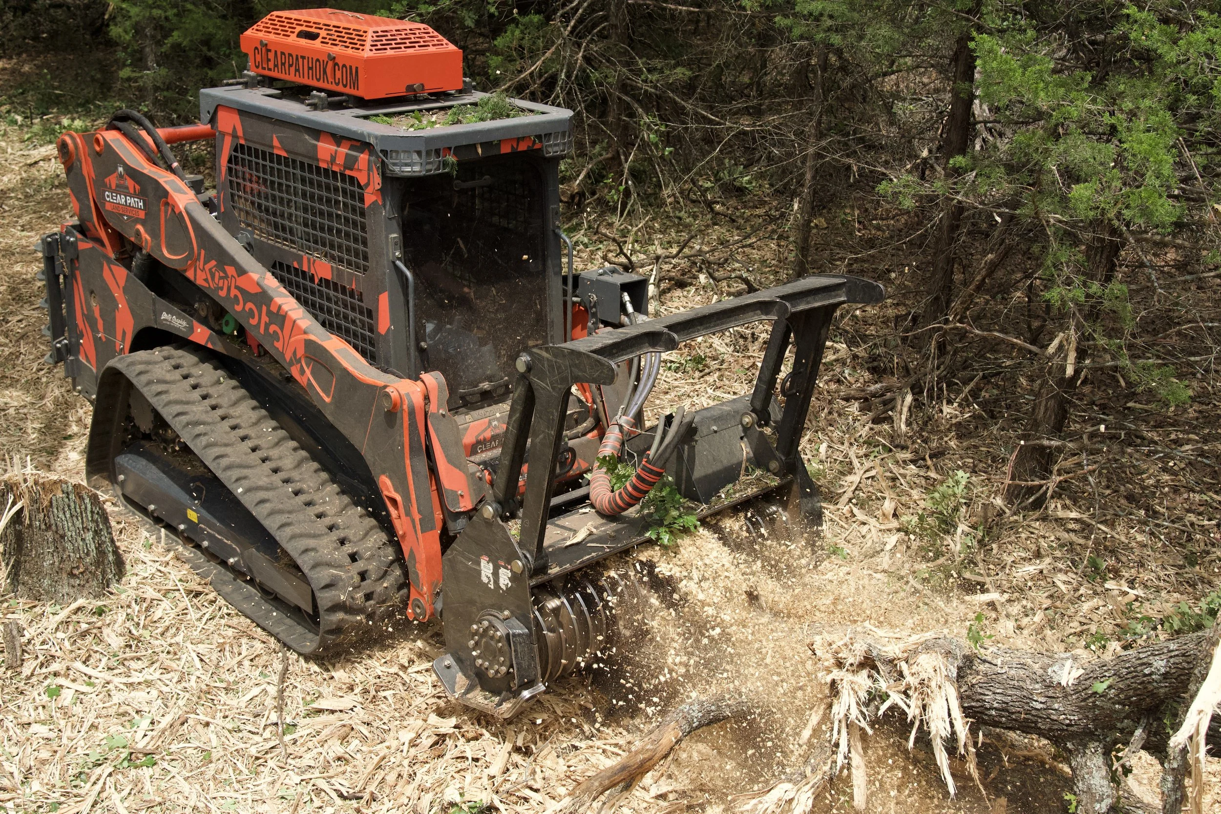 A tracked forestry mulcher machine clearing trees and brush in a forested area.