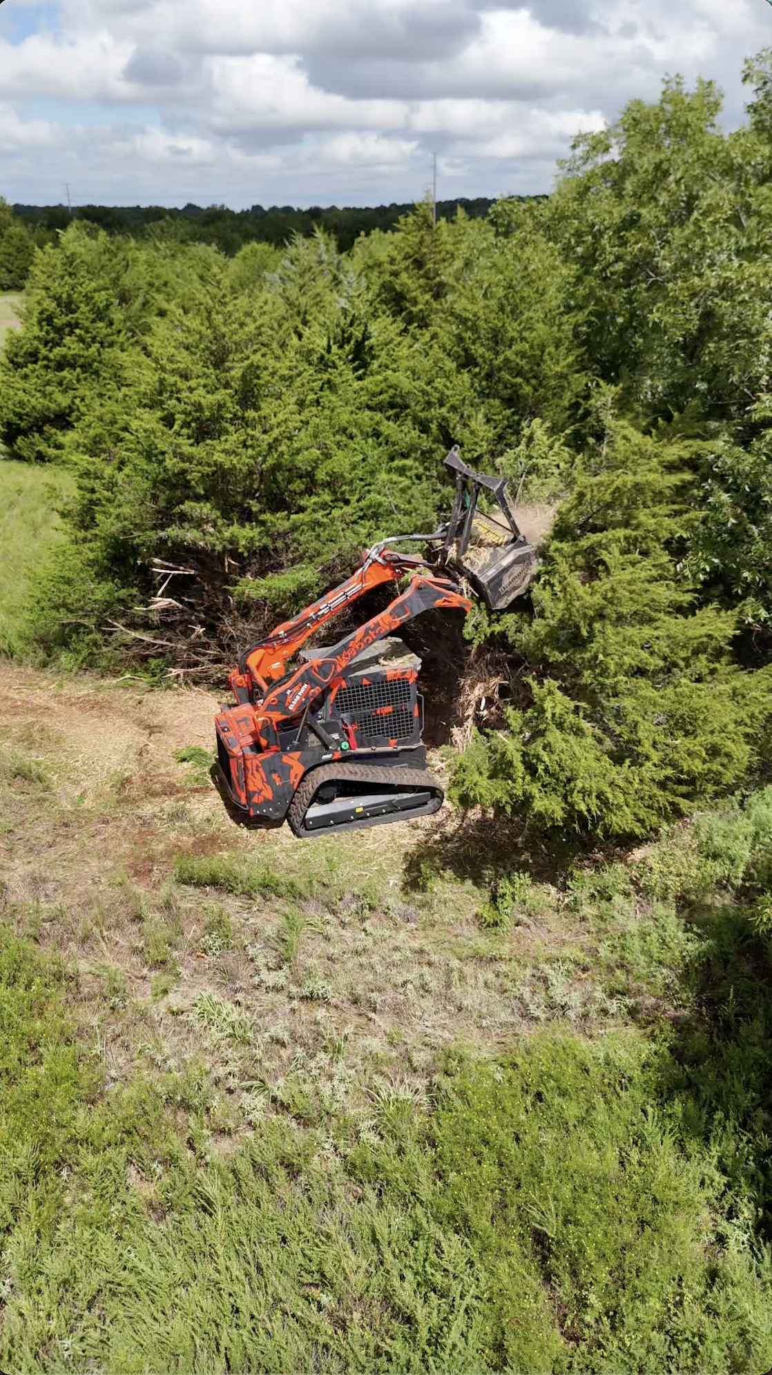 A small red and black tracked excavator illegally cutting down a tree in a green, wooded area.