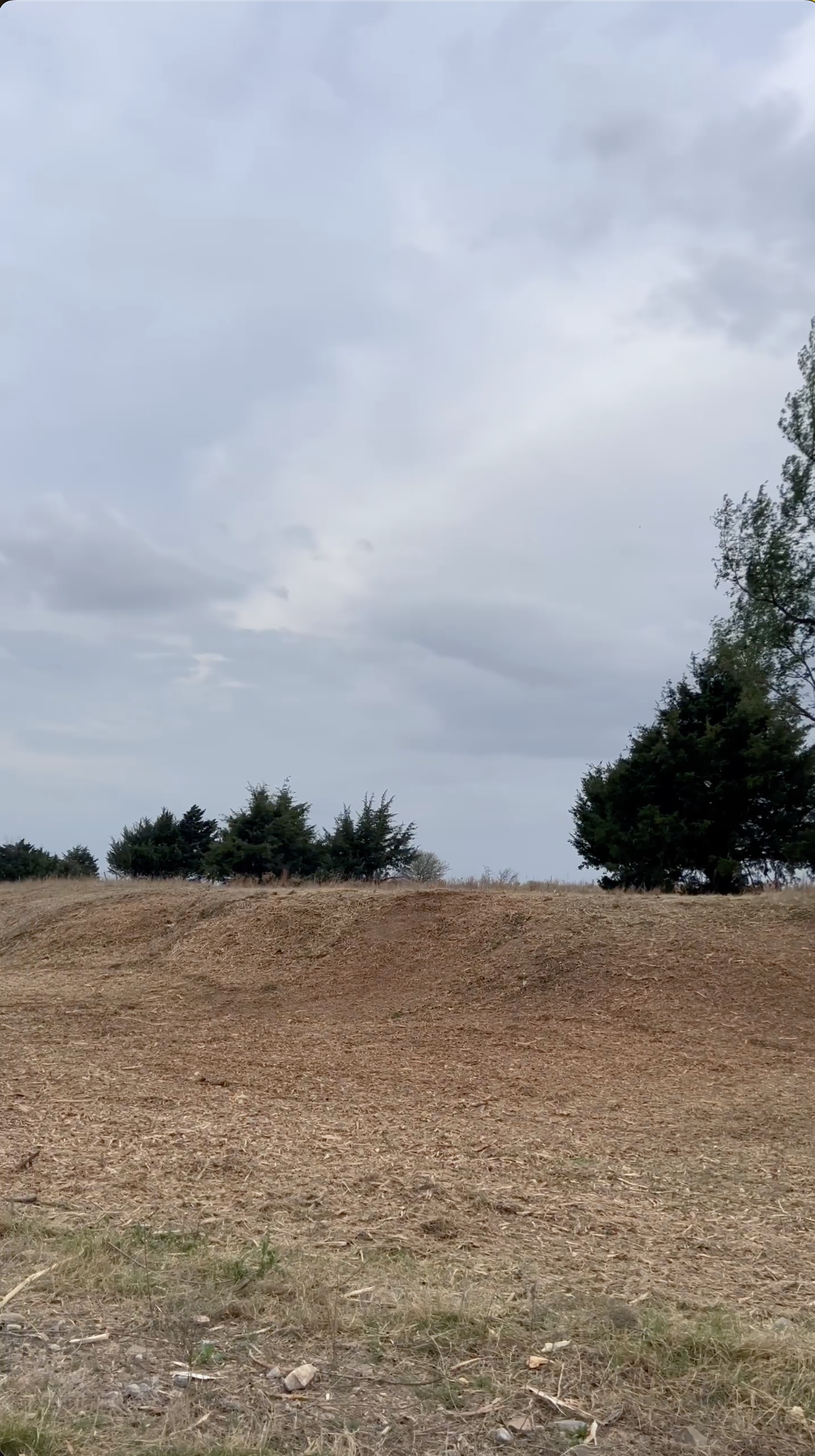 A scene of a dirt ground and a line of trees under a cloudy sky.