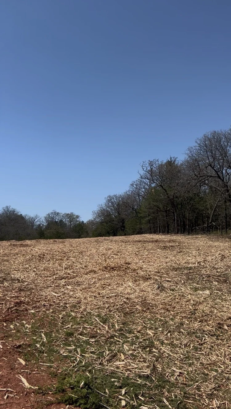 Oklahoma pasture reclaimed after forestry mulching