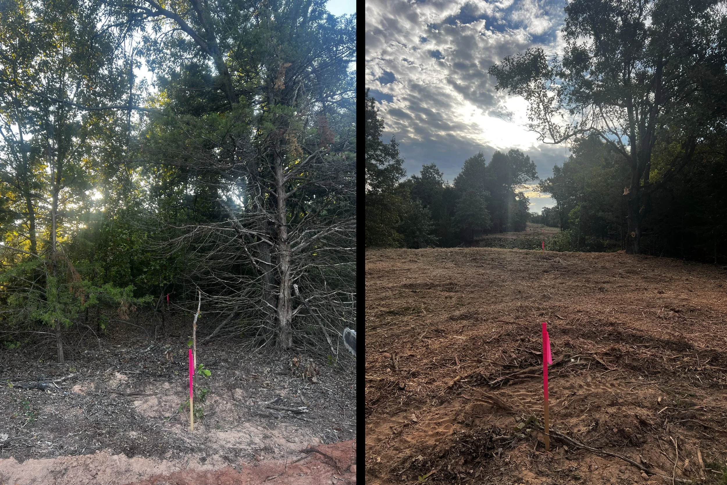 Side-by-side comparison of a wooded area with trees and a partly cloudy sky. The left side shows trees with green leaves and burnt ground in a forest, the right side shows a cleared, dirt-covered area with a few remaining trees and a cloudy sky.