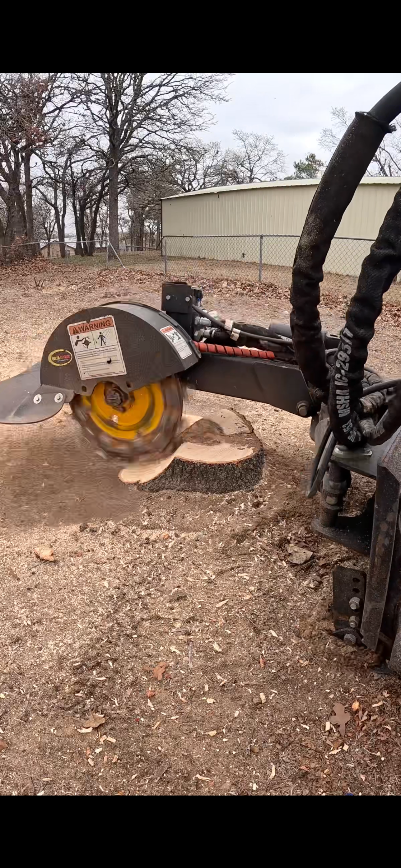 A chainsaw cutting through a tree stump outdoors during daytime with leafless trees and a fence in the background.
