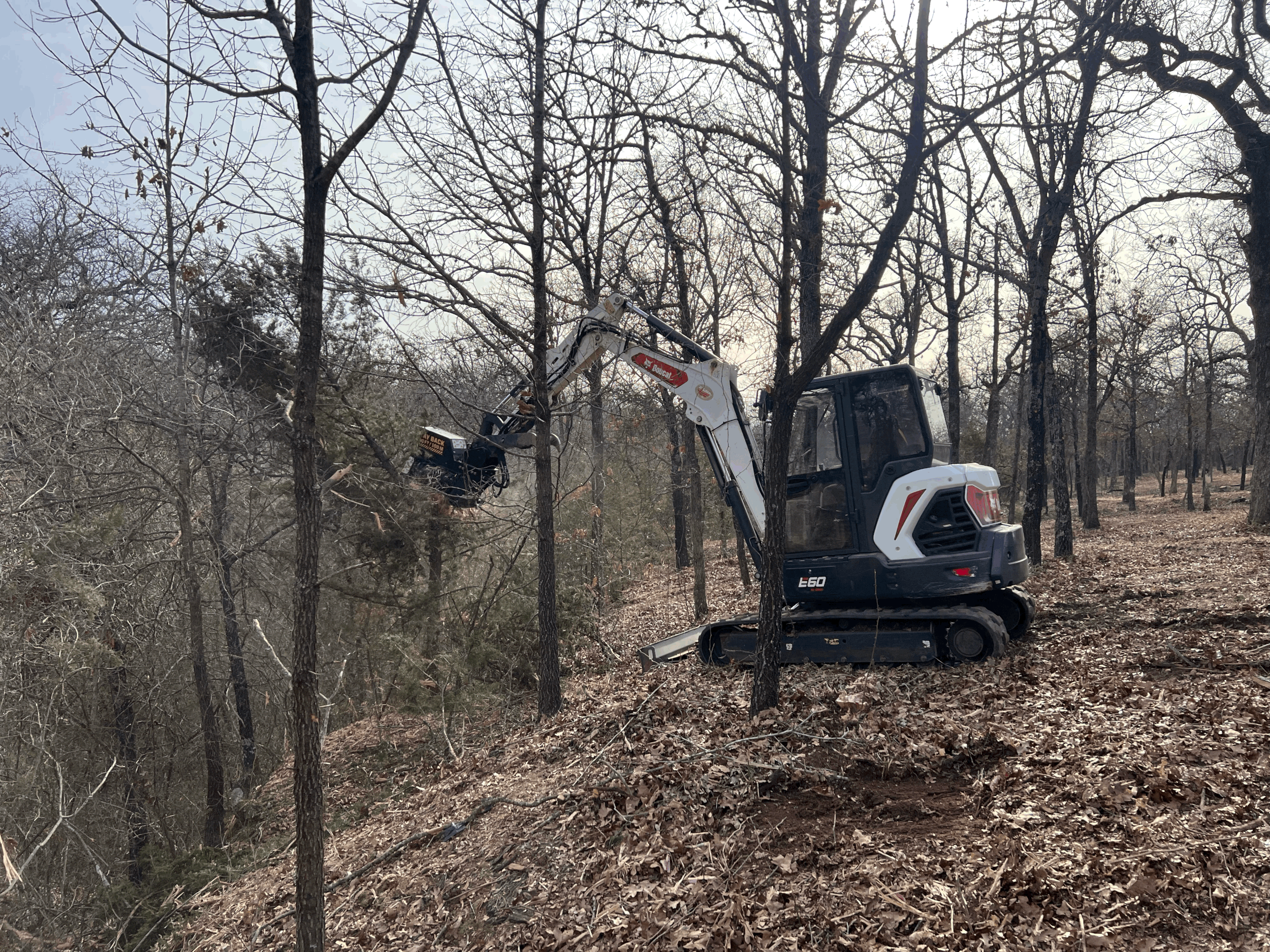Construction snow excavator working among leafless trees in winter forest.