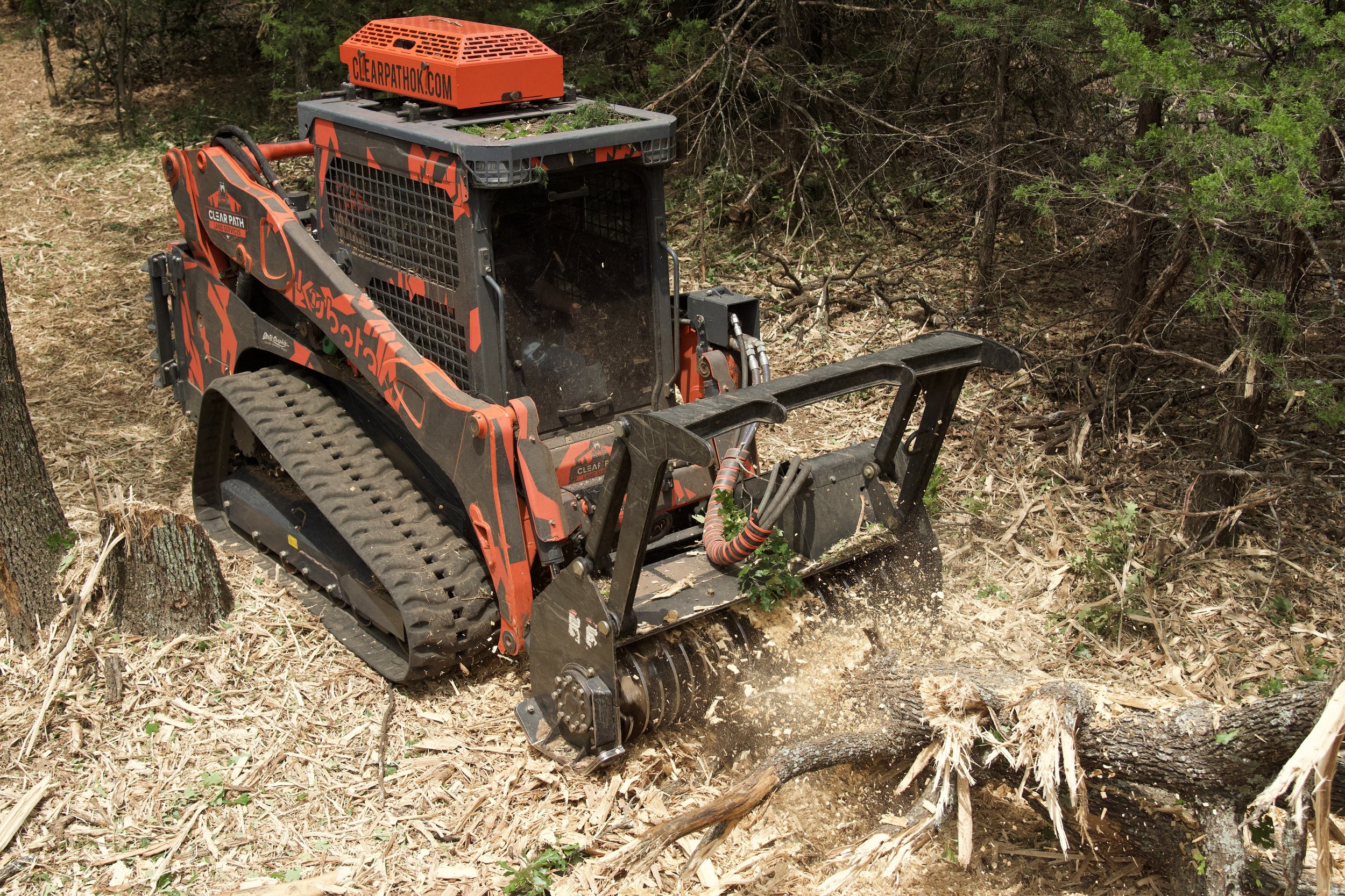 A small track loader with orange and black paint working in a forest clearing. It is clearing debris and small trees from the ground, with visible hydraulic components and a metal comb attachment.