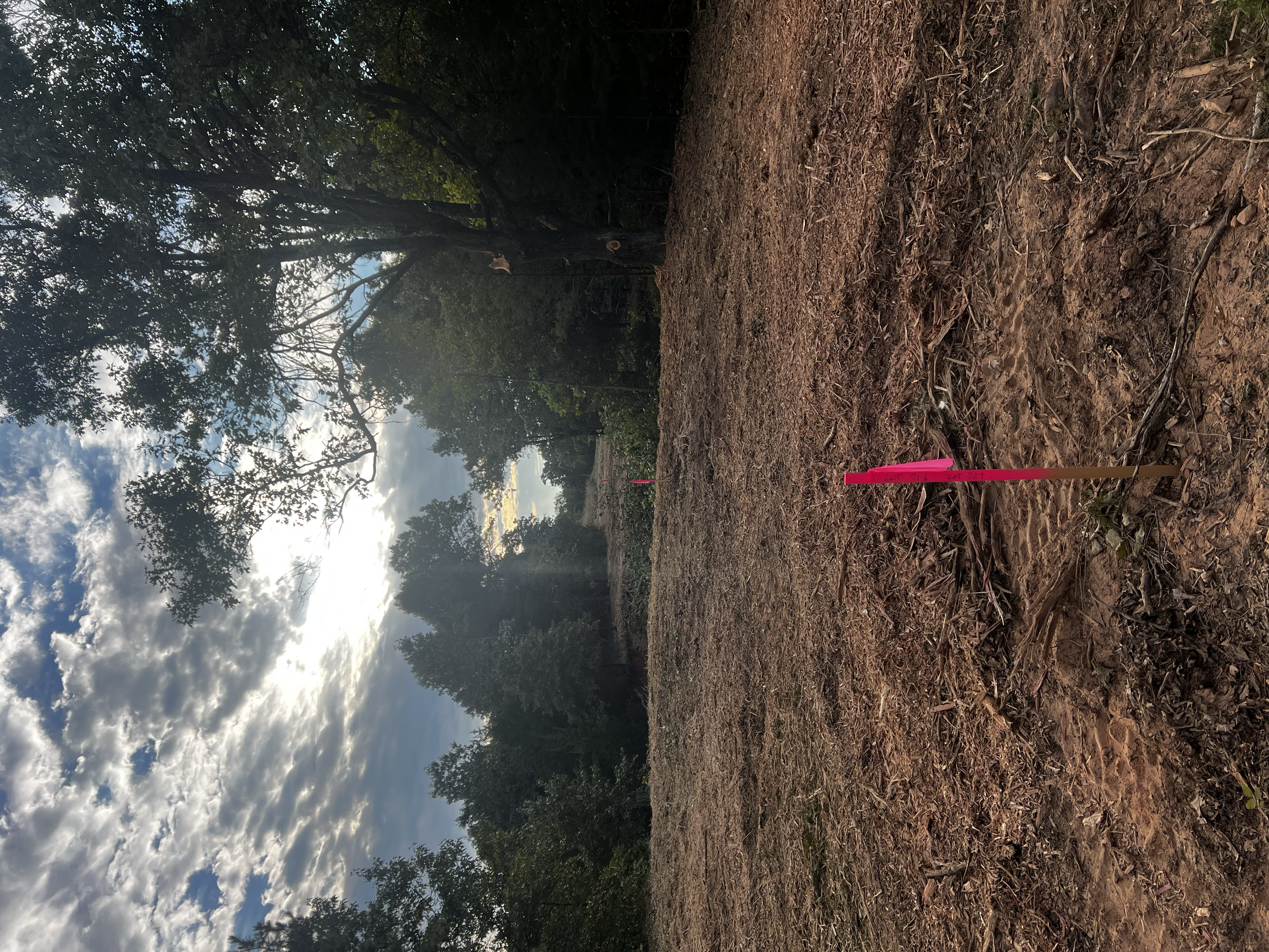 A dirt trail through a forested area with trees and cloudy sky in the background, marked with a pink flag on a pole.