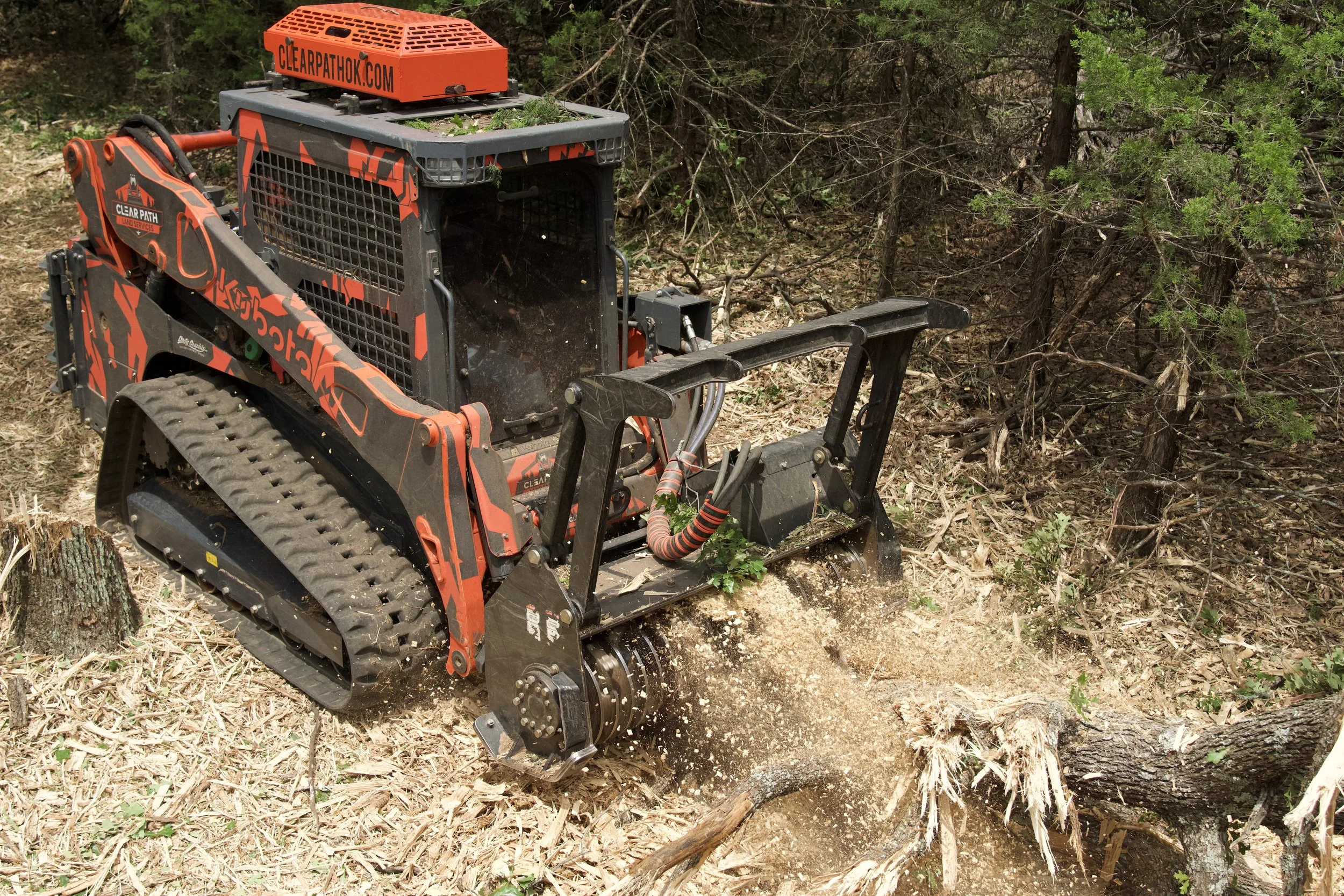 A compact orange and black tracked forestry mulcher with a cab and hydraulic arm, clearing trees and brush in a forested area.