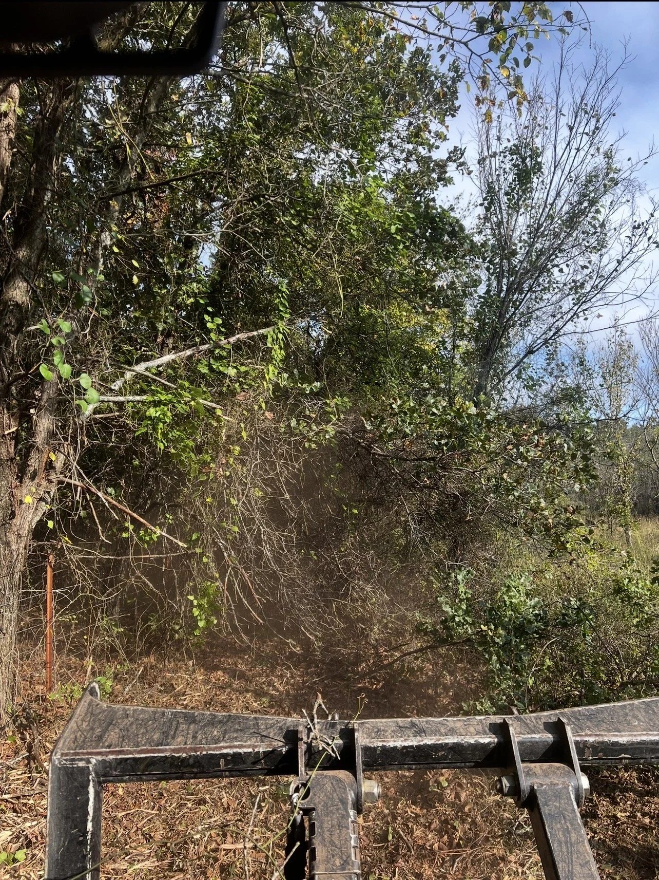 View from a machine or vehicle, looking at a wooded area with trees, branches, and foliage. Part of the machine's black metal frame is visible at the bottom of the image.