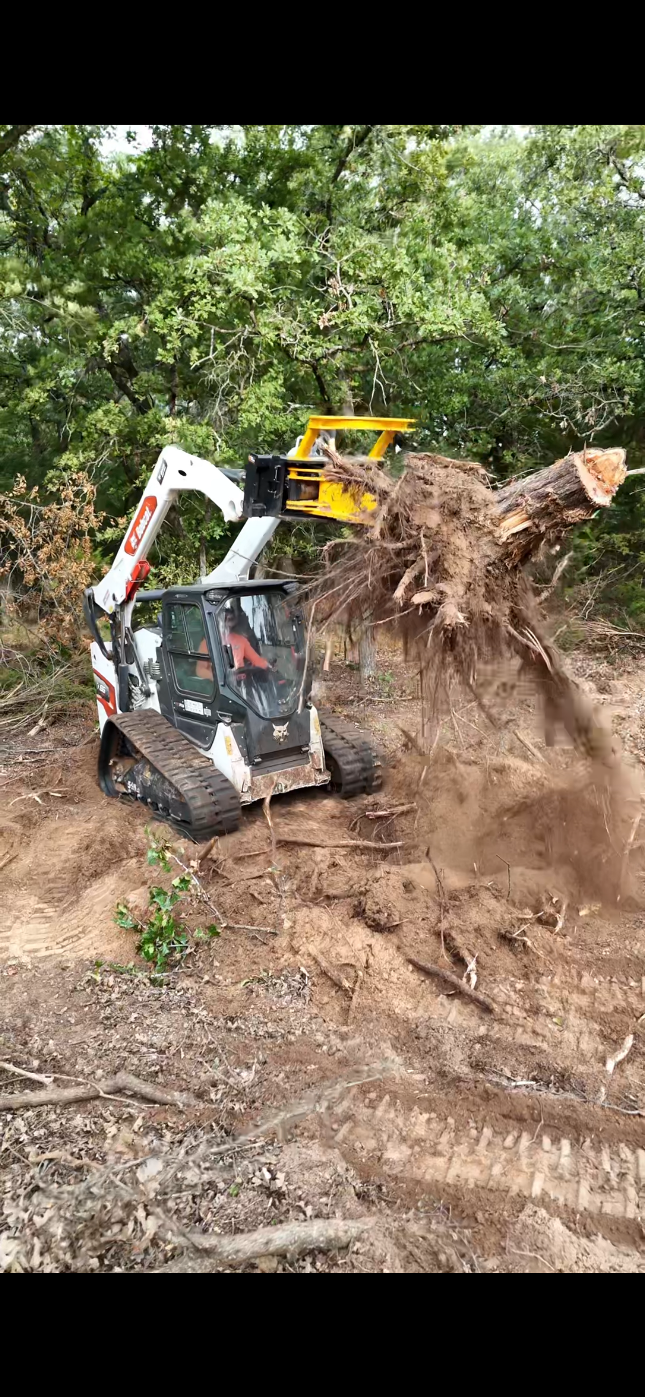 Root Removal/Grubbing