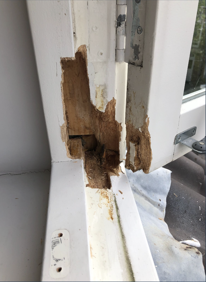Een raam met beschadigd hout en verf die afbladdert, waarschijnlijk door houtrot.