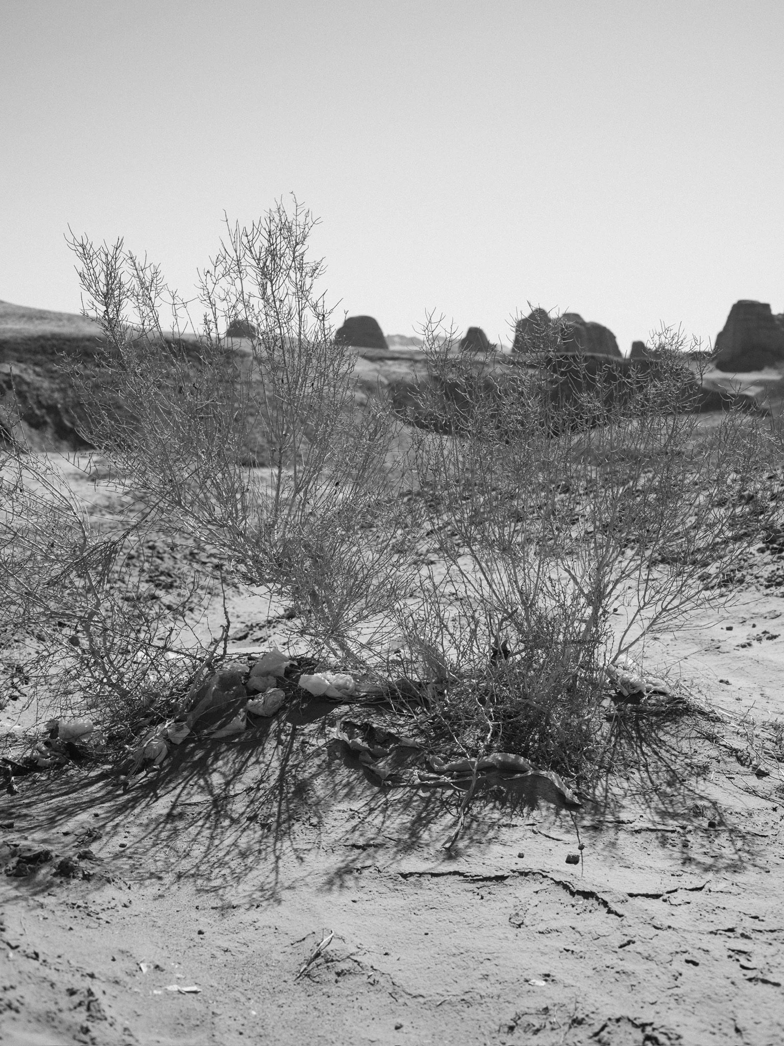 C4934795-E48A-4077-90C6-179653A12A55_1_102_o.jpeg