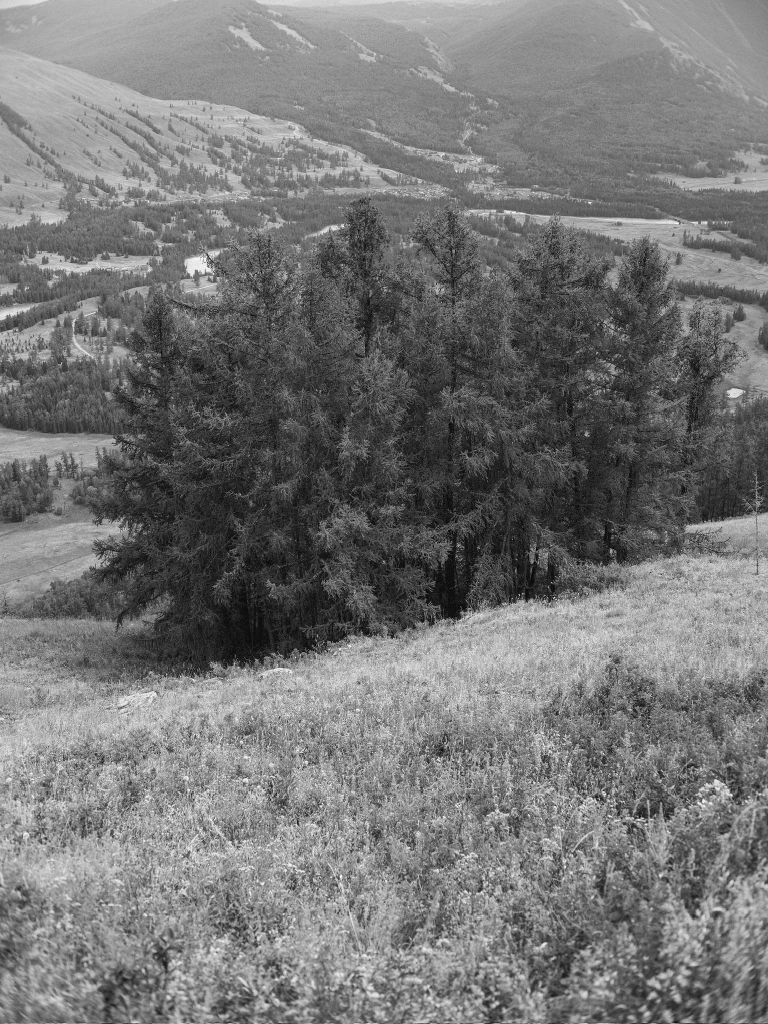 937B60D0-1B34-4BCC-B035-20ED8AFAE29A_1_102_o.jpeg