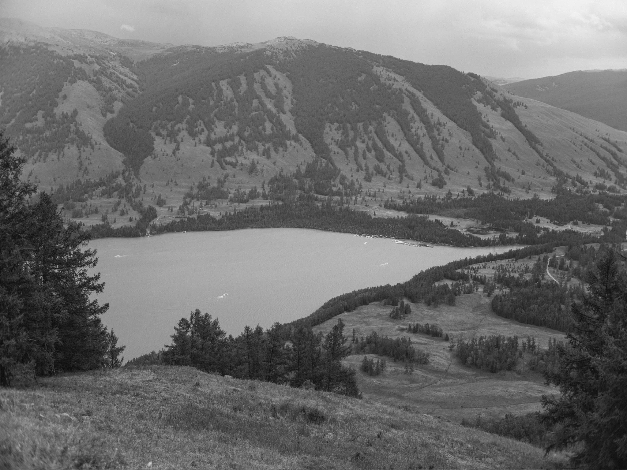 E325685D-7082-43D8-AF92-E34587506837_1_102_o.jpeg