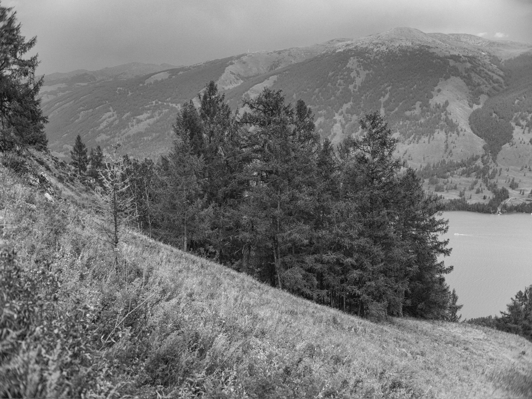 5645724A-C922-457B-B2E2-C010E252A6EF_1_102_o.jpeg