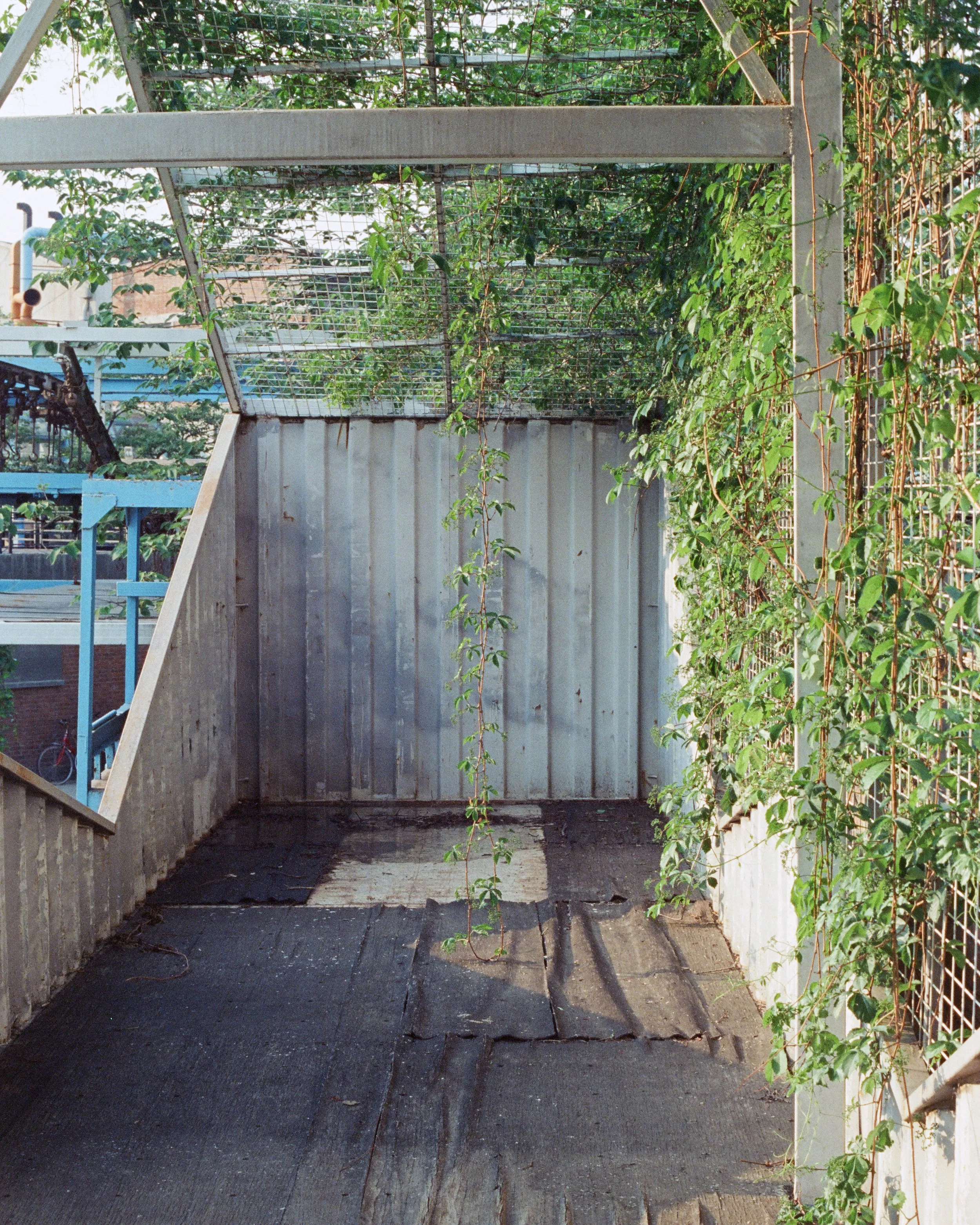 20250514 - 第169卷 - 5219 - 电通创意广场、同学聚会、电子城 - Pentax SPII + Takuma 50 1.4-000057510019.jpg