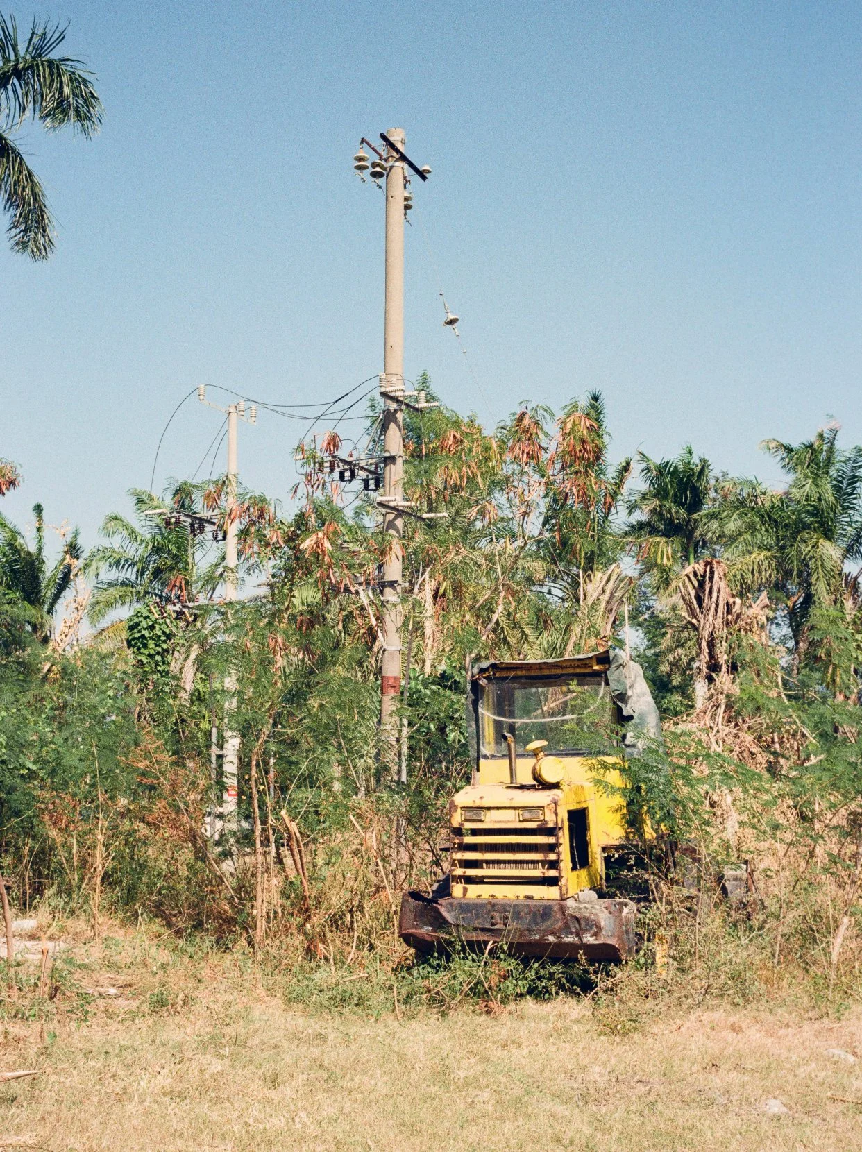 A yellow construction or forestry vehicle parked in a grassy area surrounded by trees, with a utility pole and power lines in the background under a clear blue sky.