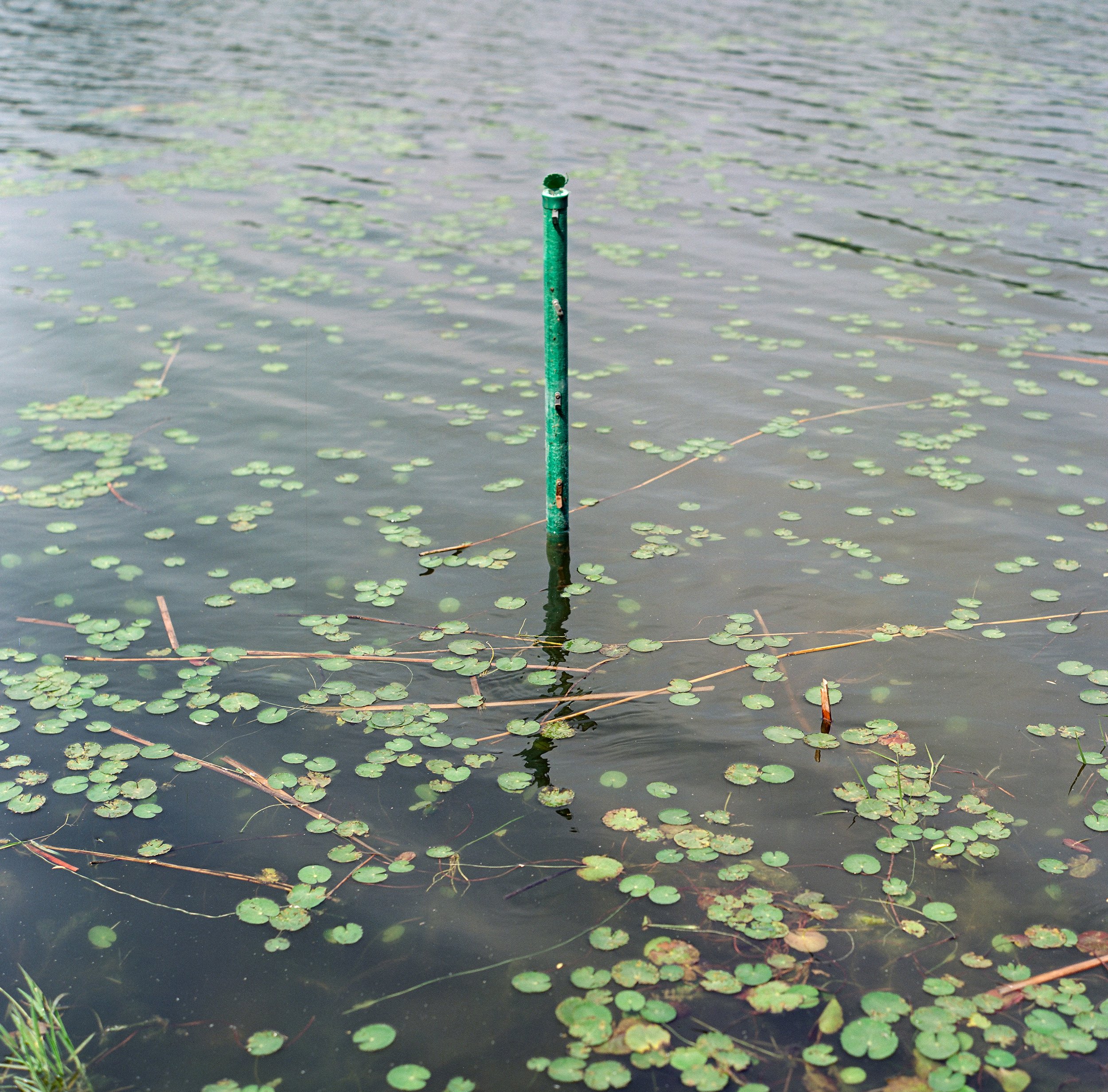 20250514 - 第171卷 - 5203 - 金福湿地+北坞公园 - Rollei 2.8F-000057530005.jpg