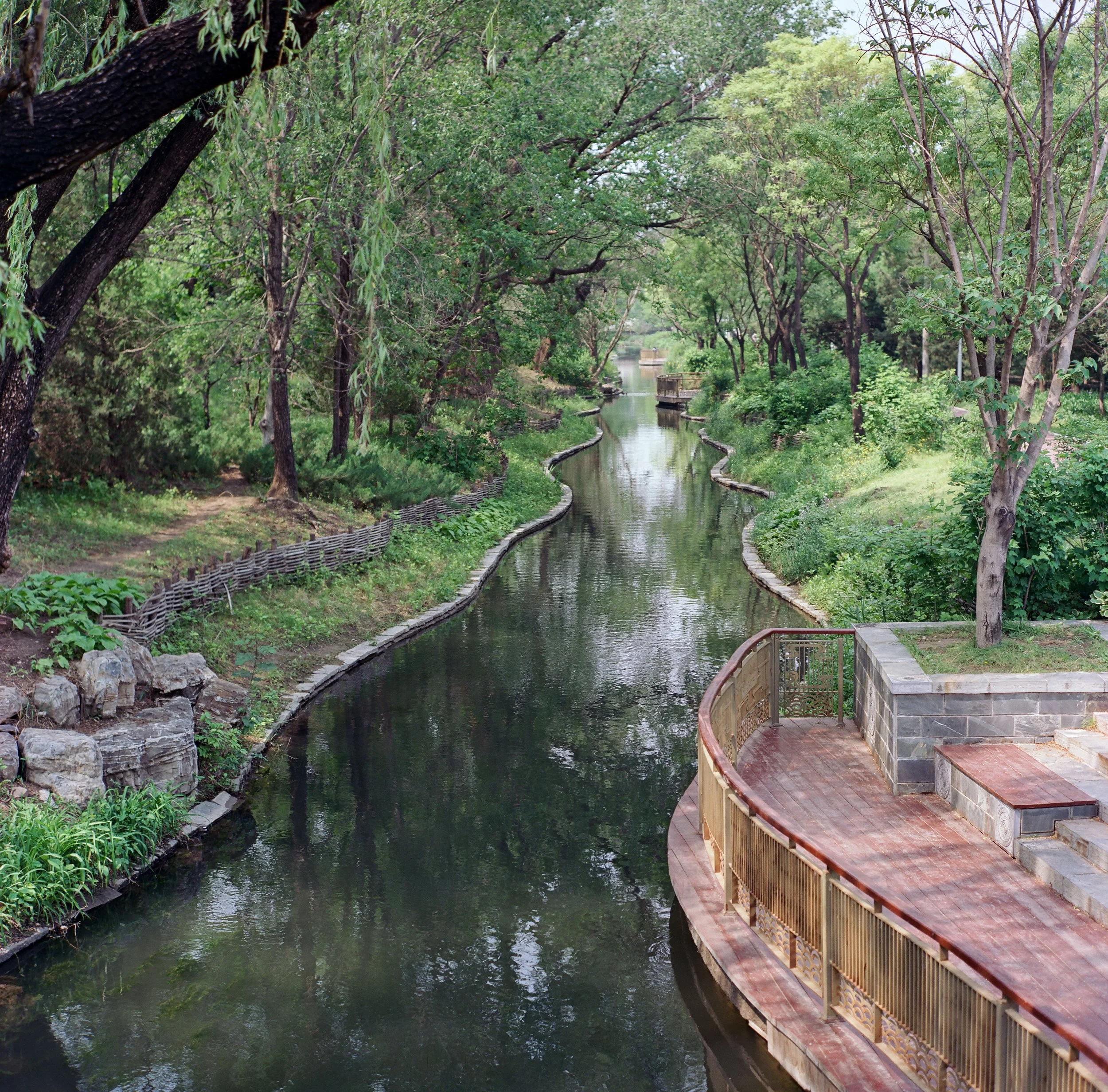 20250514 - 第171卷 - 5203 - 金福湿地+北坞公园 - Rollei 2.8F-000057530004.jpg