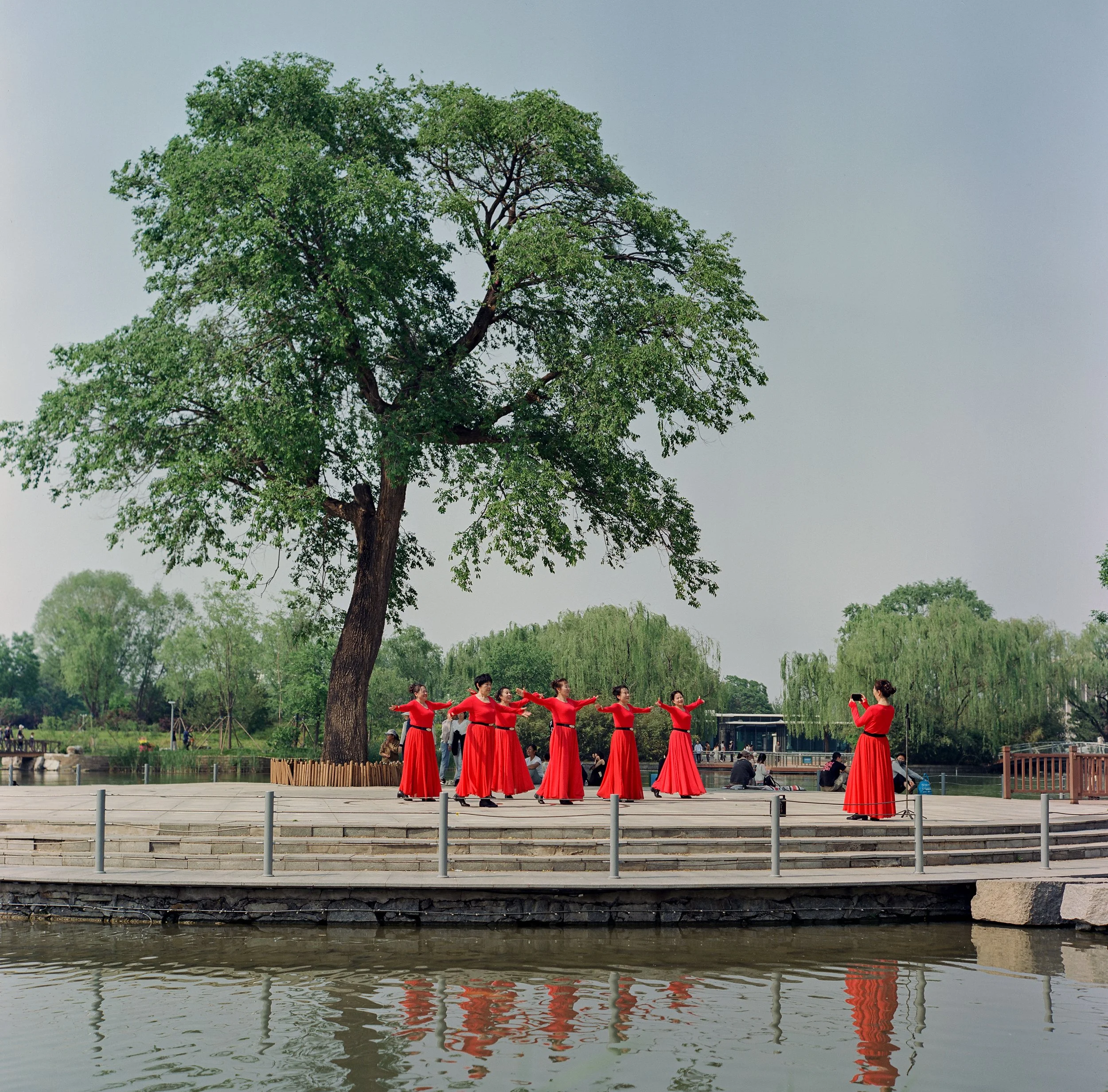 20250514 - 第172卷 - 5203 - 北坞公园、海淀公园、电通创意广场 - Rollei 2.8F-000057540004.jpg