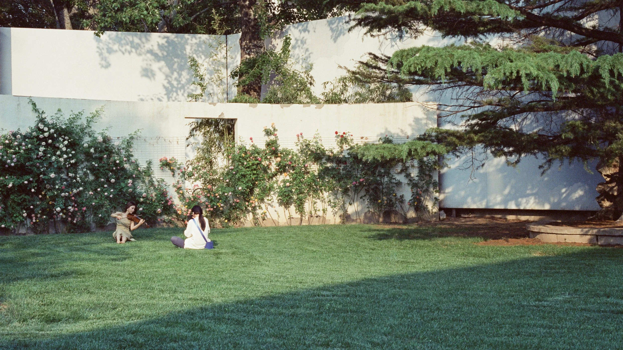 20250514 - 第169卷 - 5219 - 电通创意广场、同学聚会、电子城 - Pentax SPII + Takuma 50 1.4-000057510030.jpg