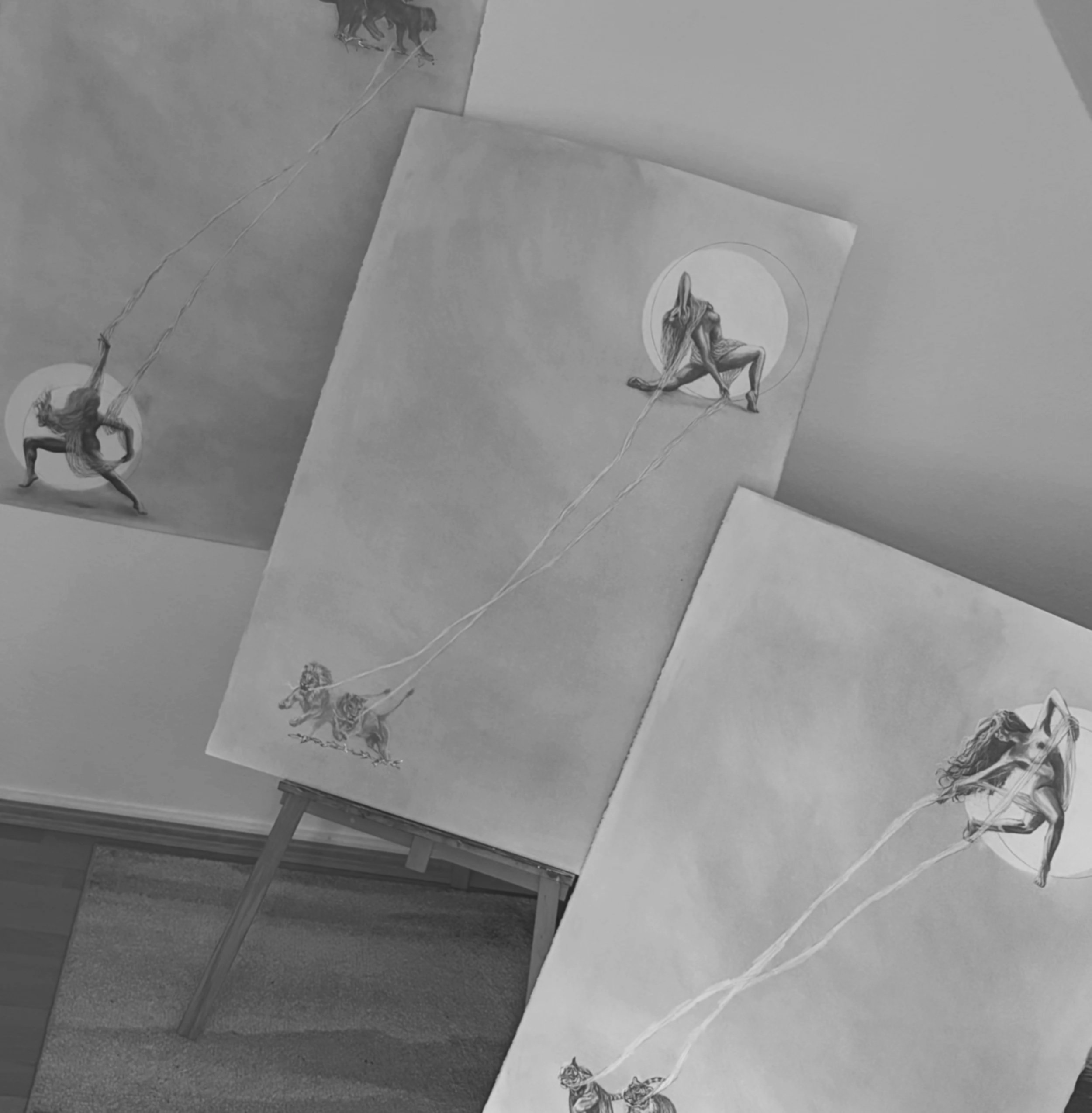 The Unravelling Series
