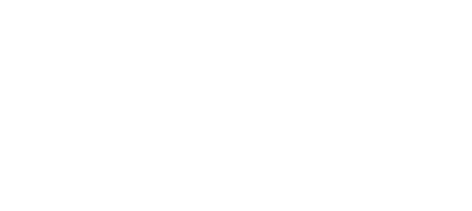 Durango Septic