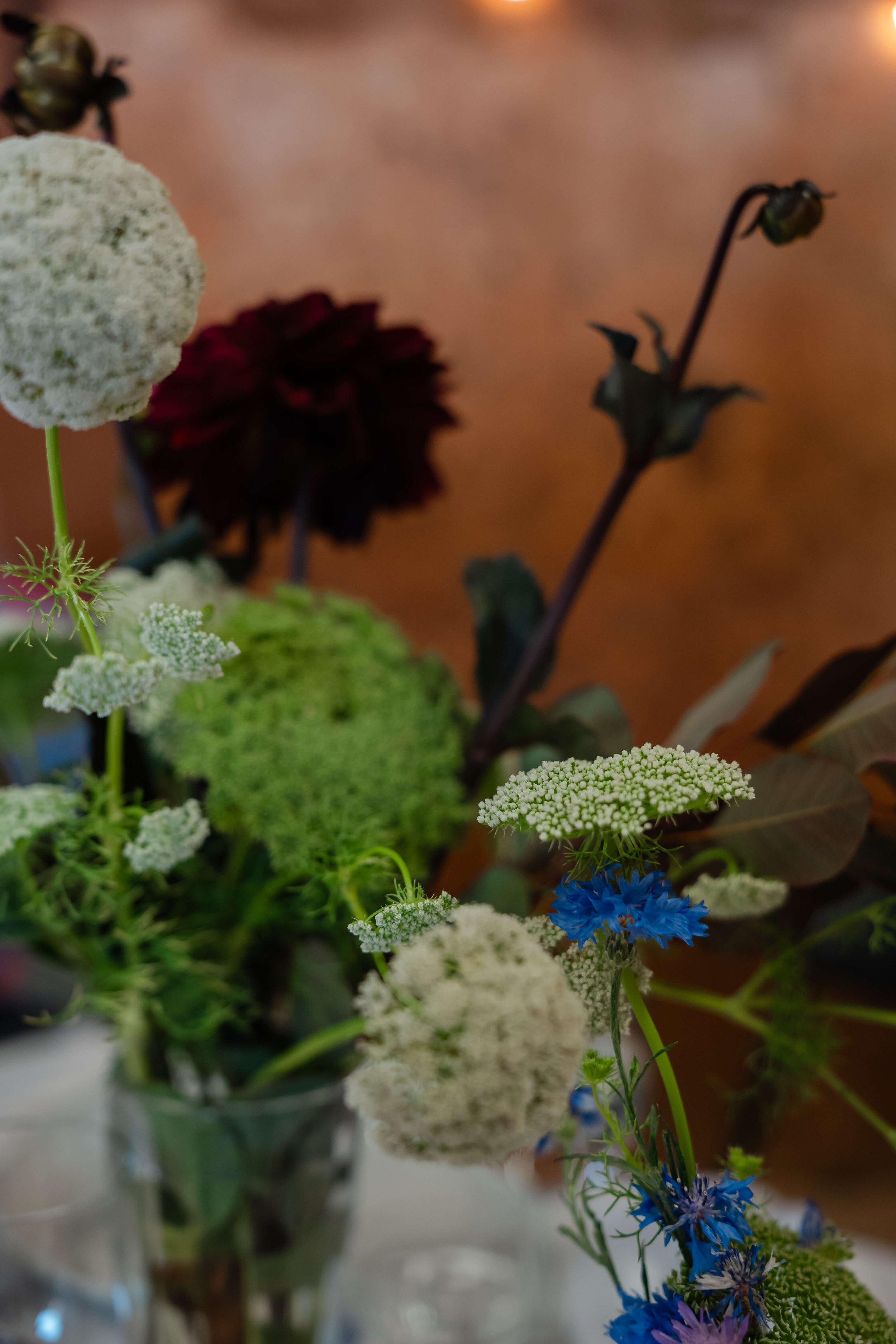 Reception-76.jpg