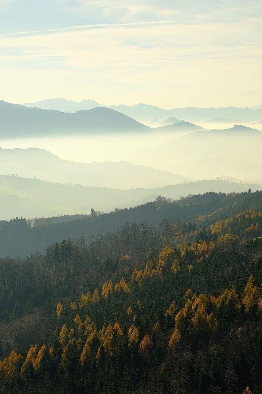 Layered mountain ranges with mist and forested hills in the foreground, showing a serene natural landscape.