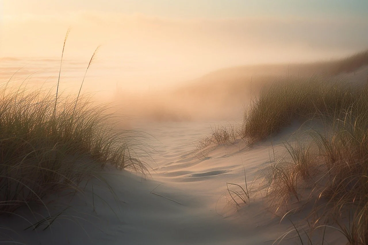 Beach scene with sandy dunes, tall grass, and misty horizon at sunrise or sunset.