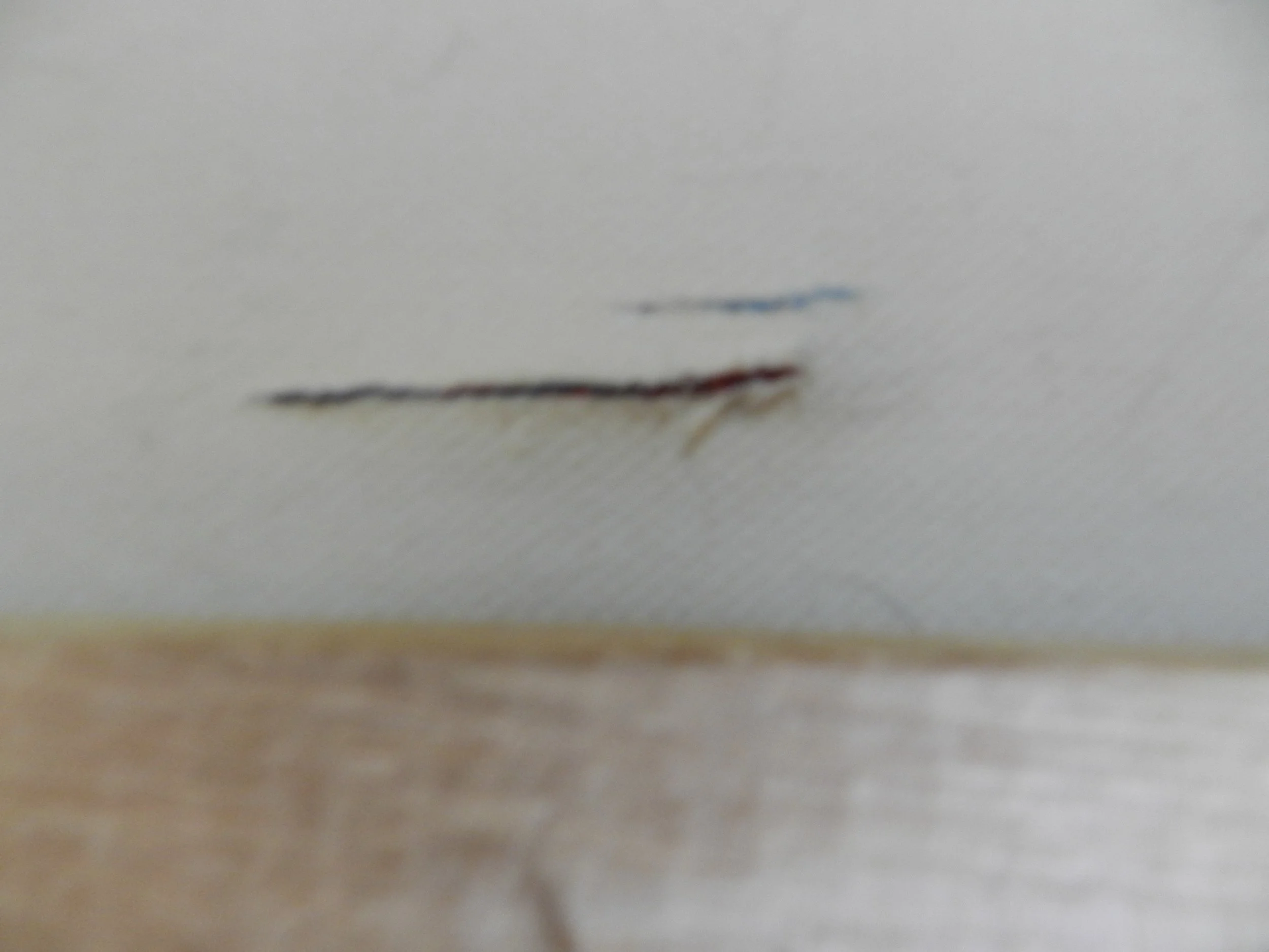 DSCN5602.JPG
