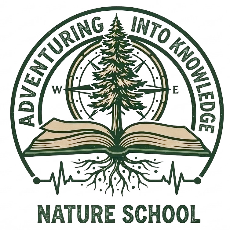 Adventuring Into Knowledge