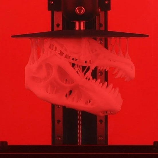 3D printed dinosaur skull being created on a red background