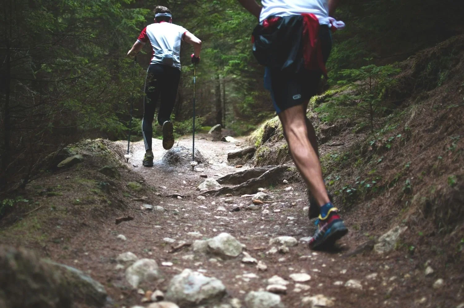 Two runners on rocky forest trail using trekking poles